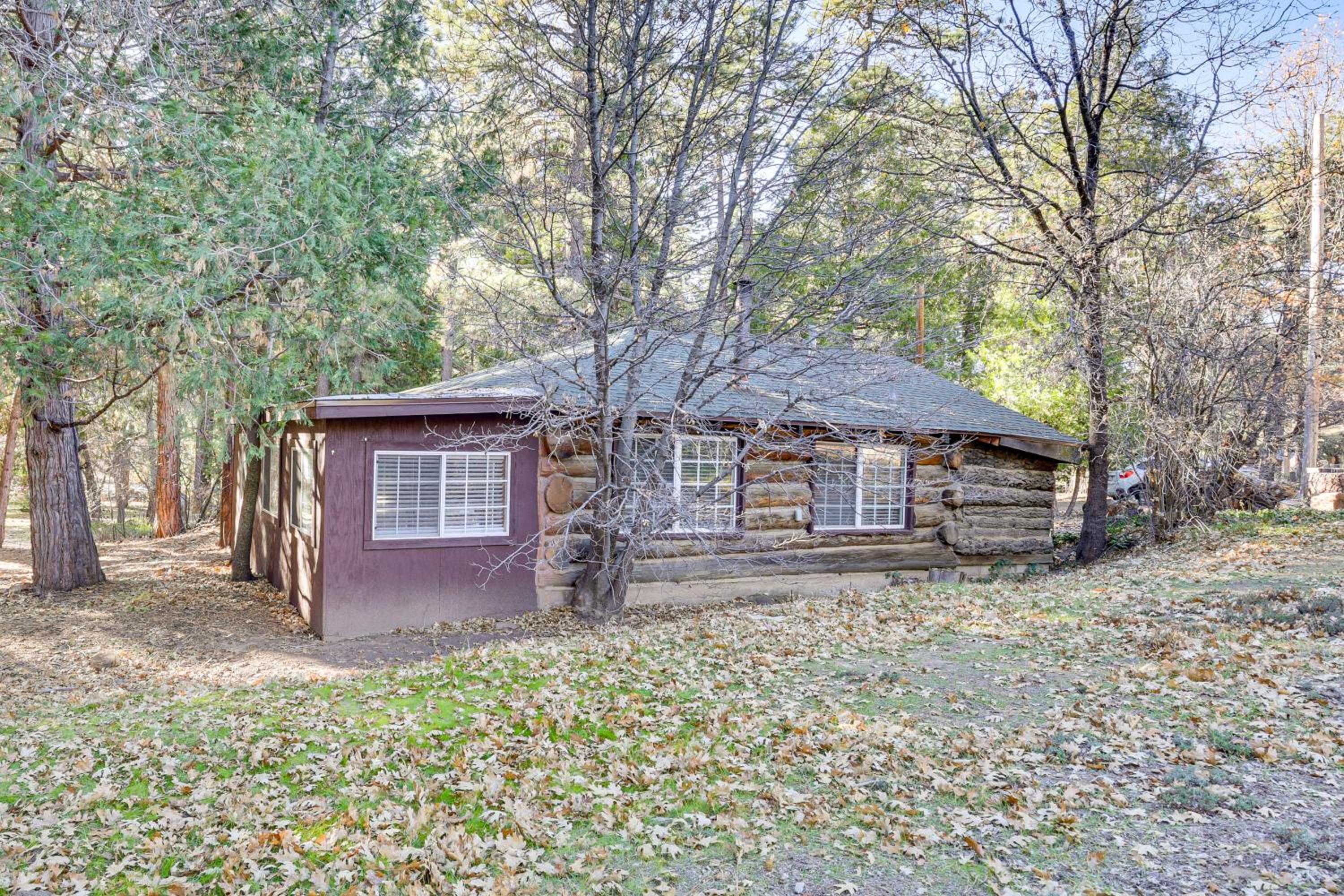 MTB Base Camp! Rustic Cabin By Mt Laguna Trails