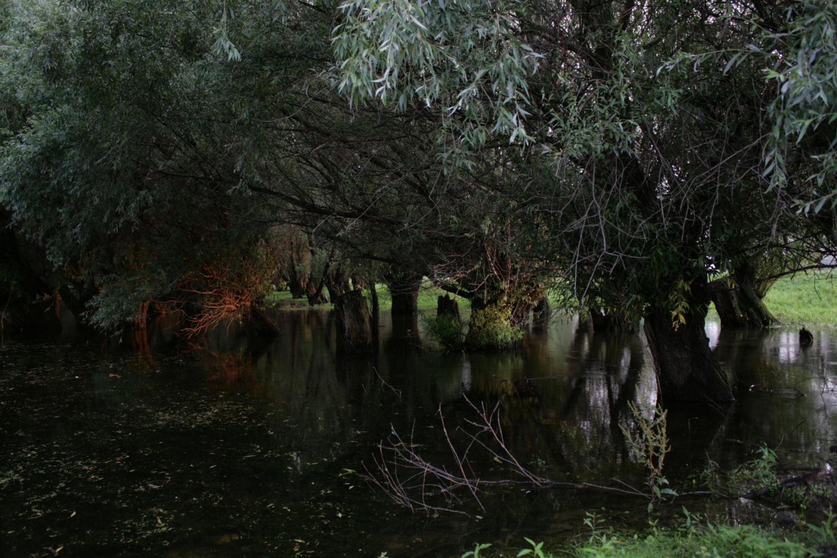 Photo 37