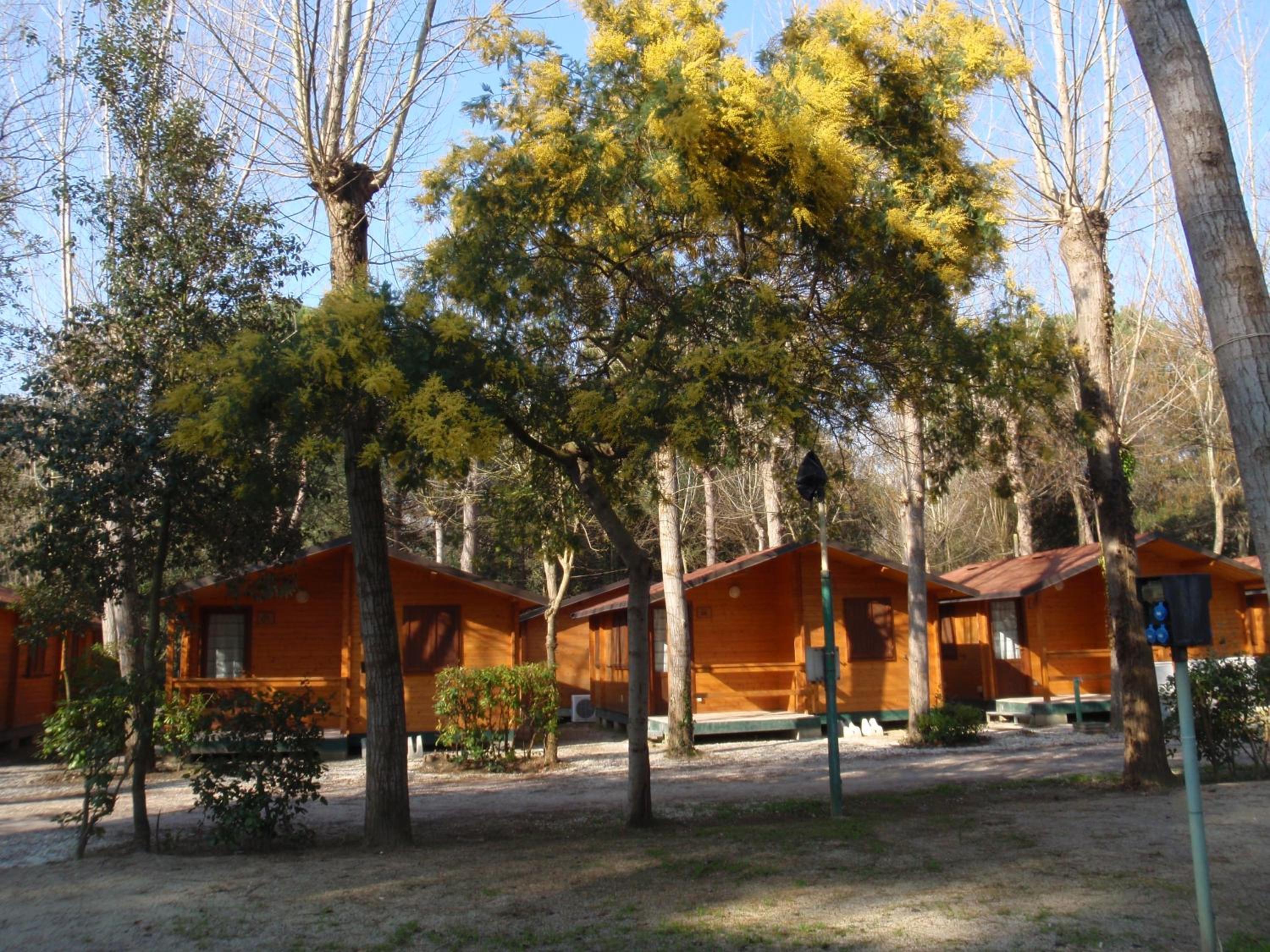 Campeggio Boscoverde, photo 102