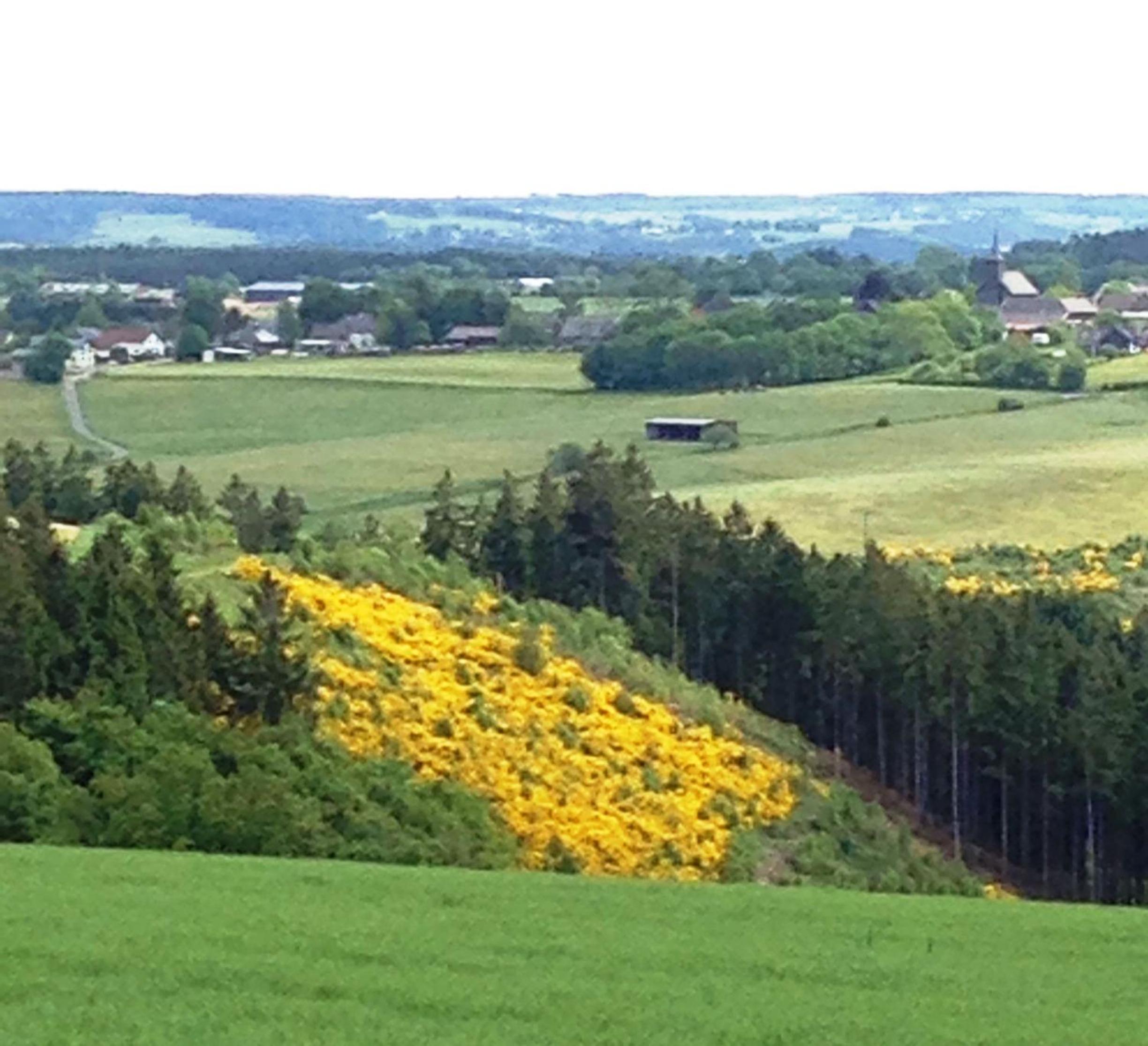 Eifelhaus4you