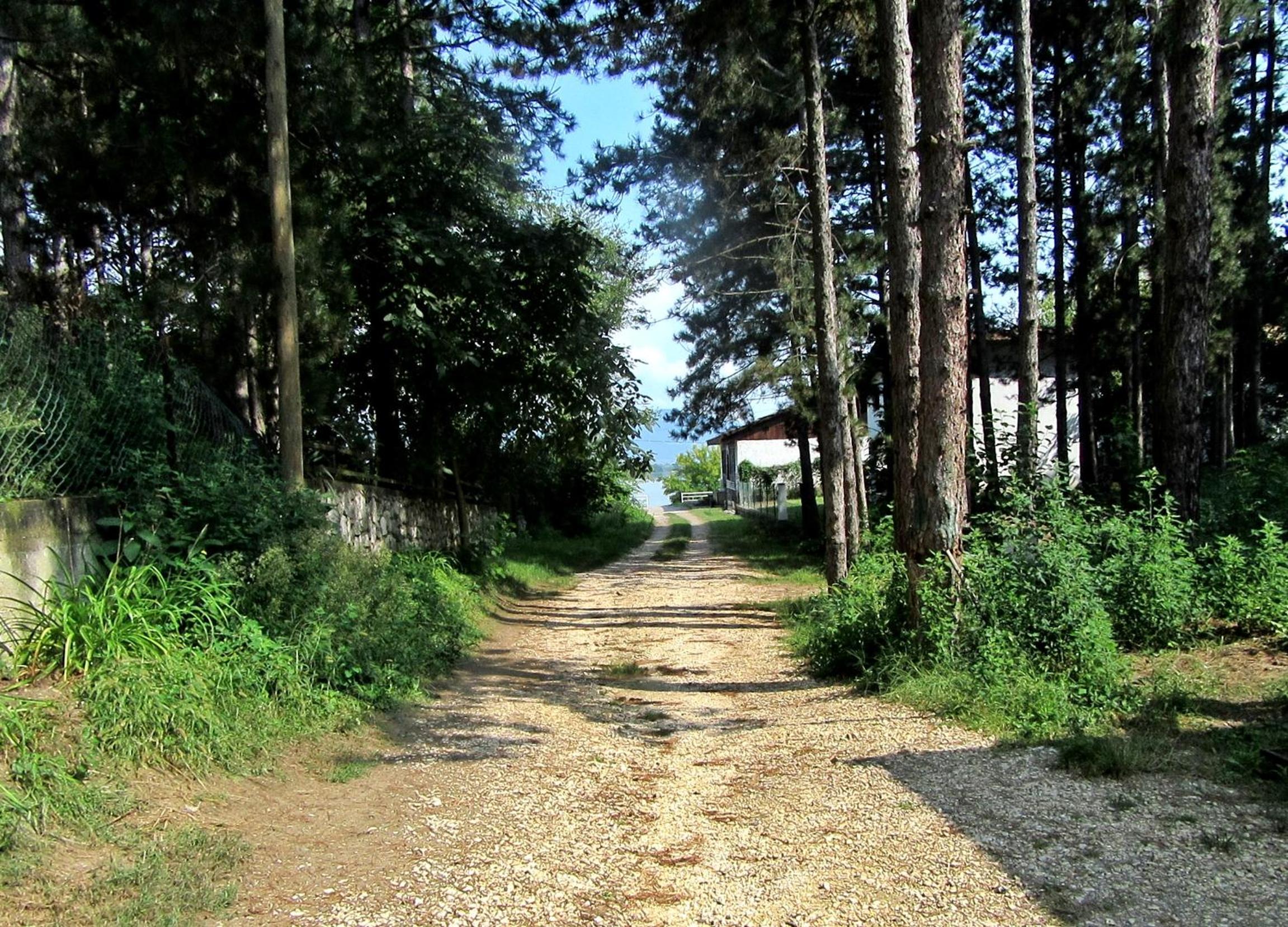 Photo 43