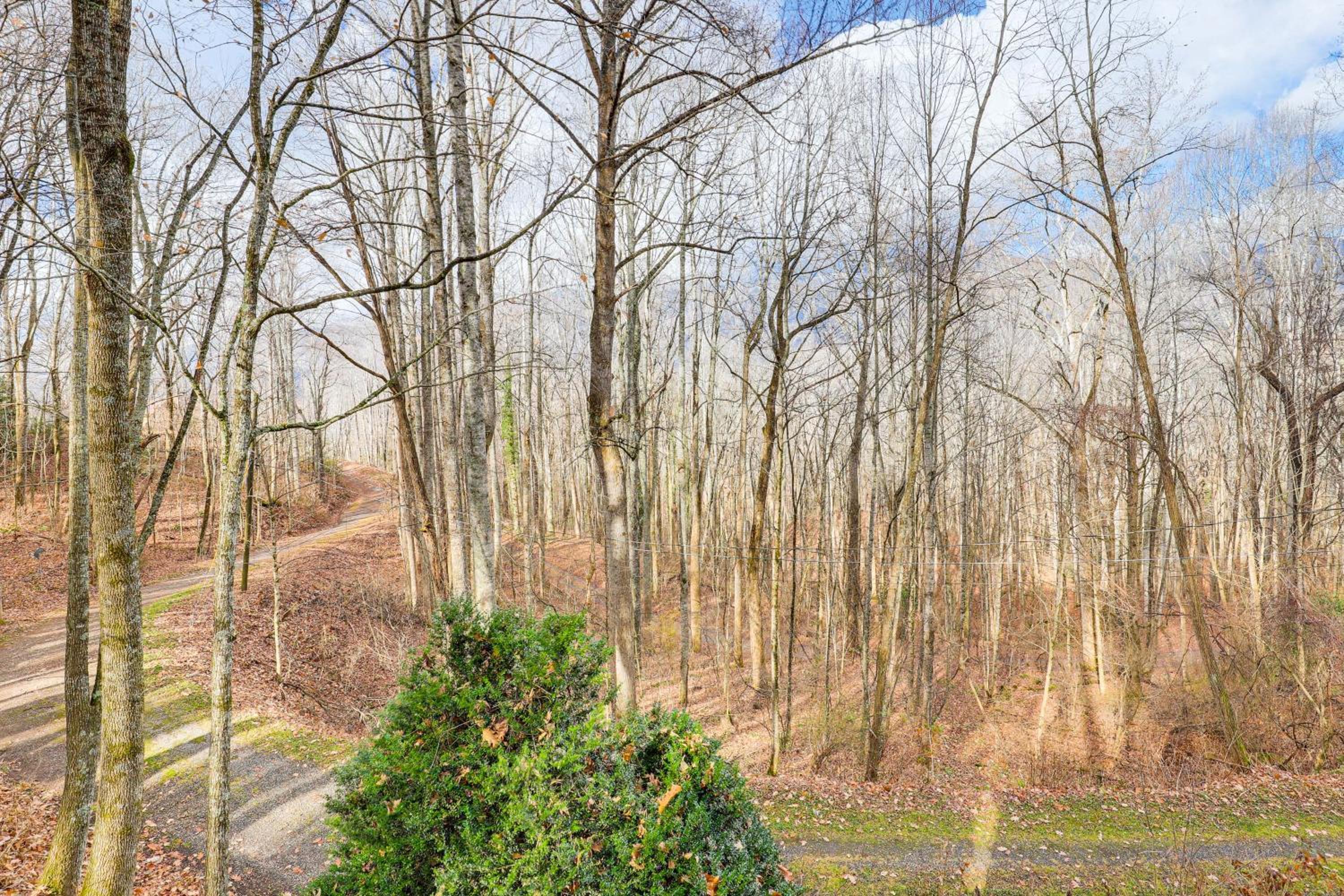 Quiet Family Cabin in Balsam Hike, Ski, Explore