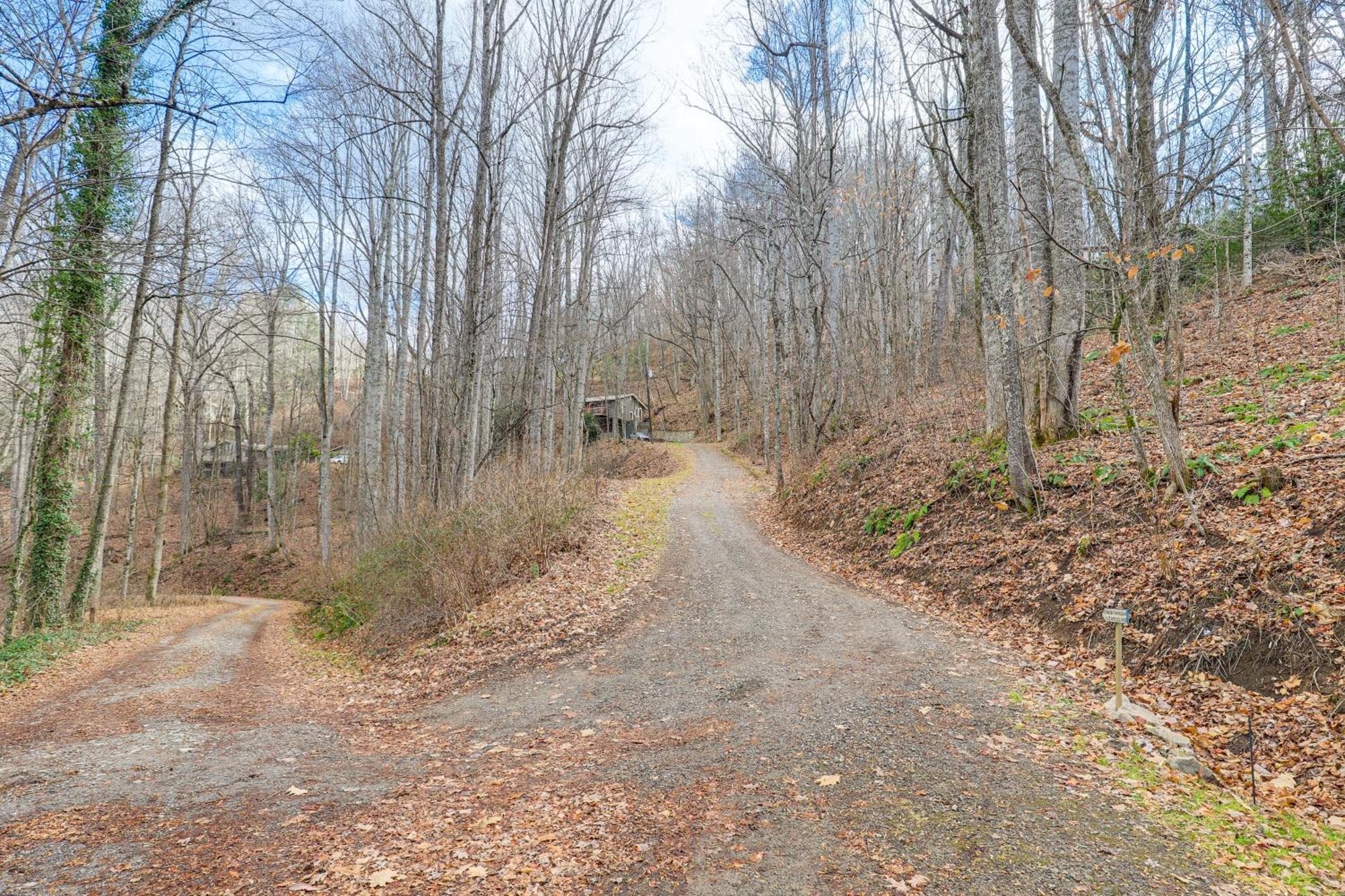 Quiet Family Cabin in Balsam Hike, Ski, Explore