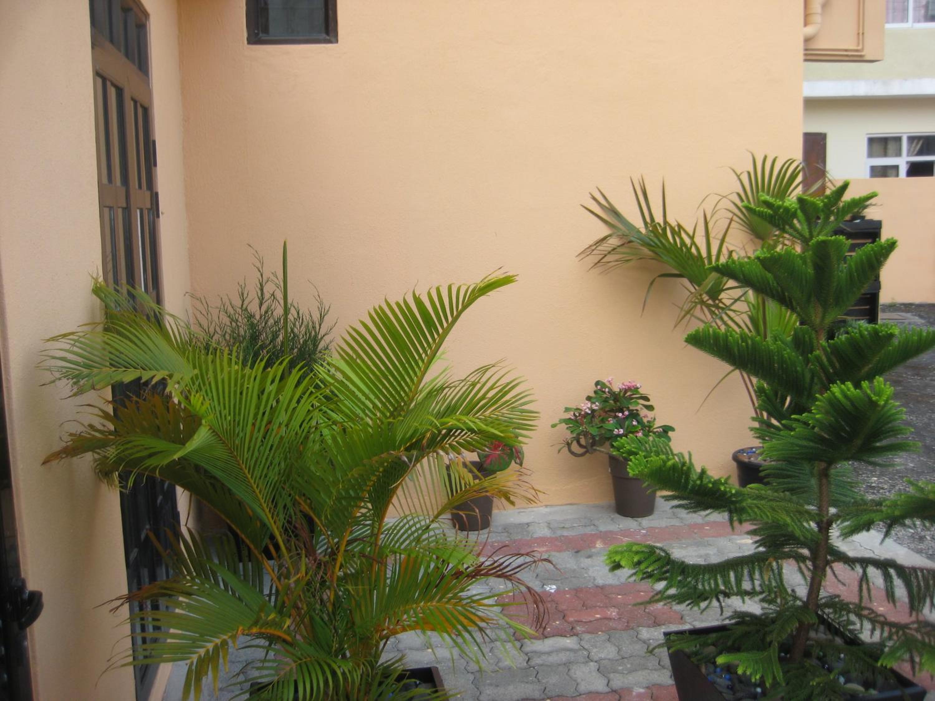 Photo 43