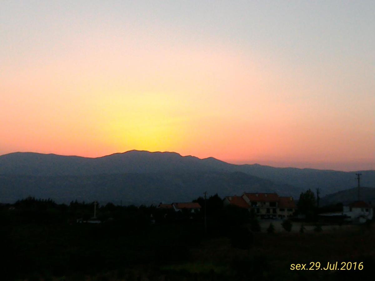 Photo 36