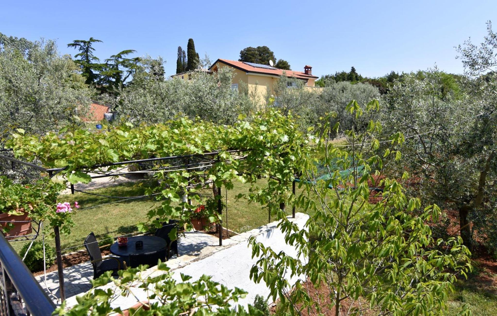 Peaceful flat surrounded by nature
