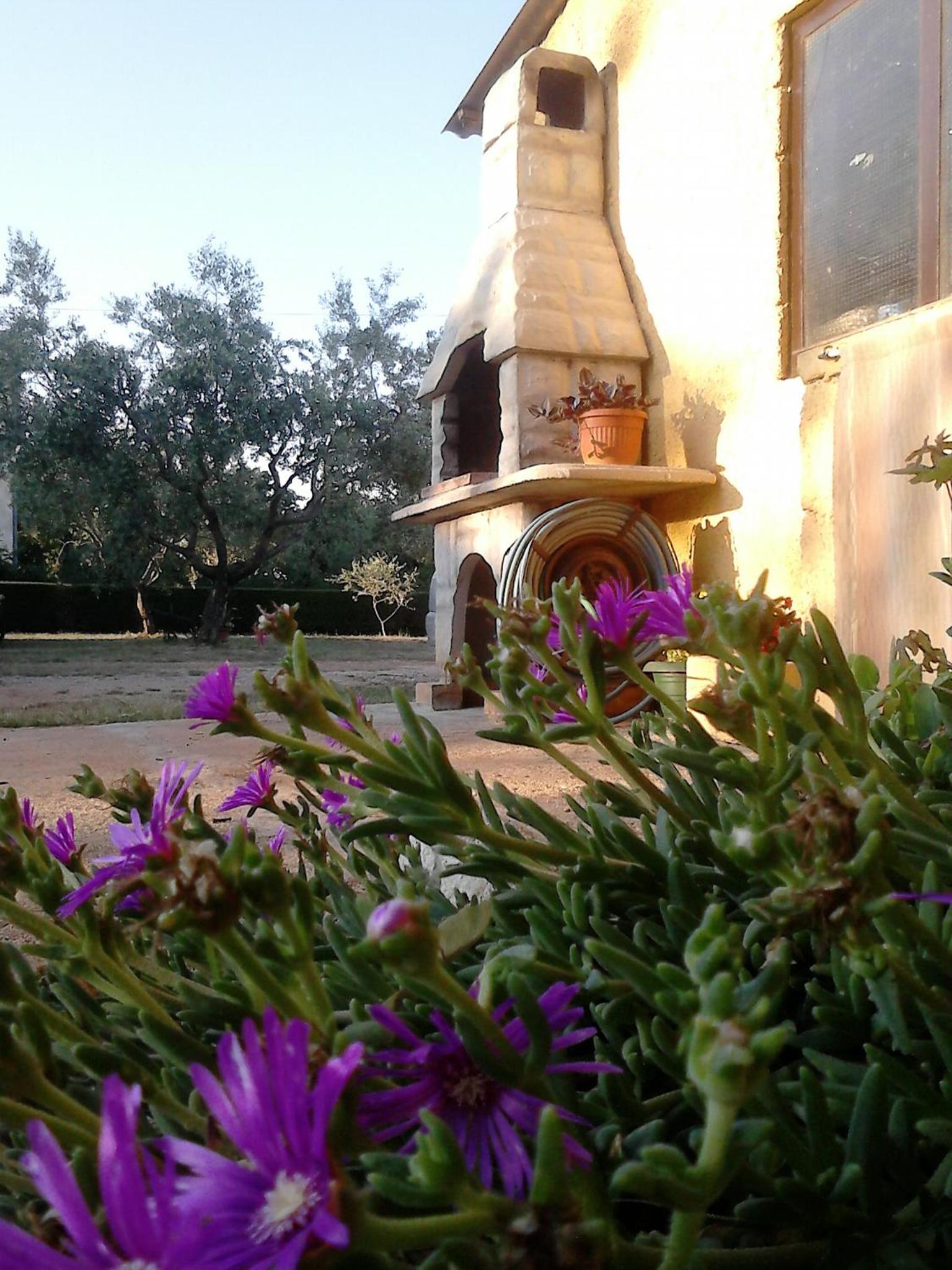 Annamaria Home