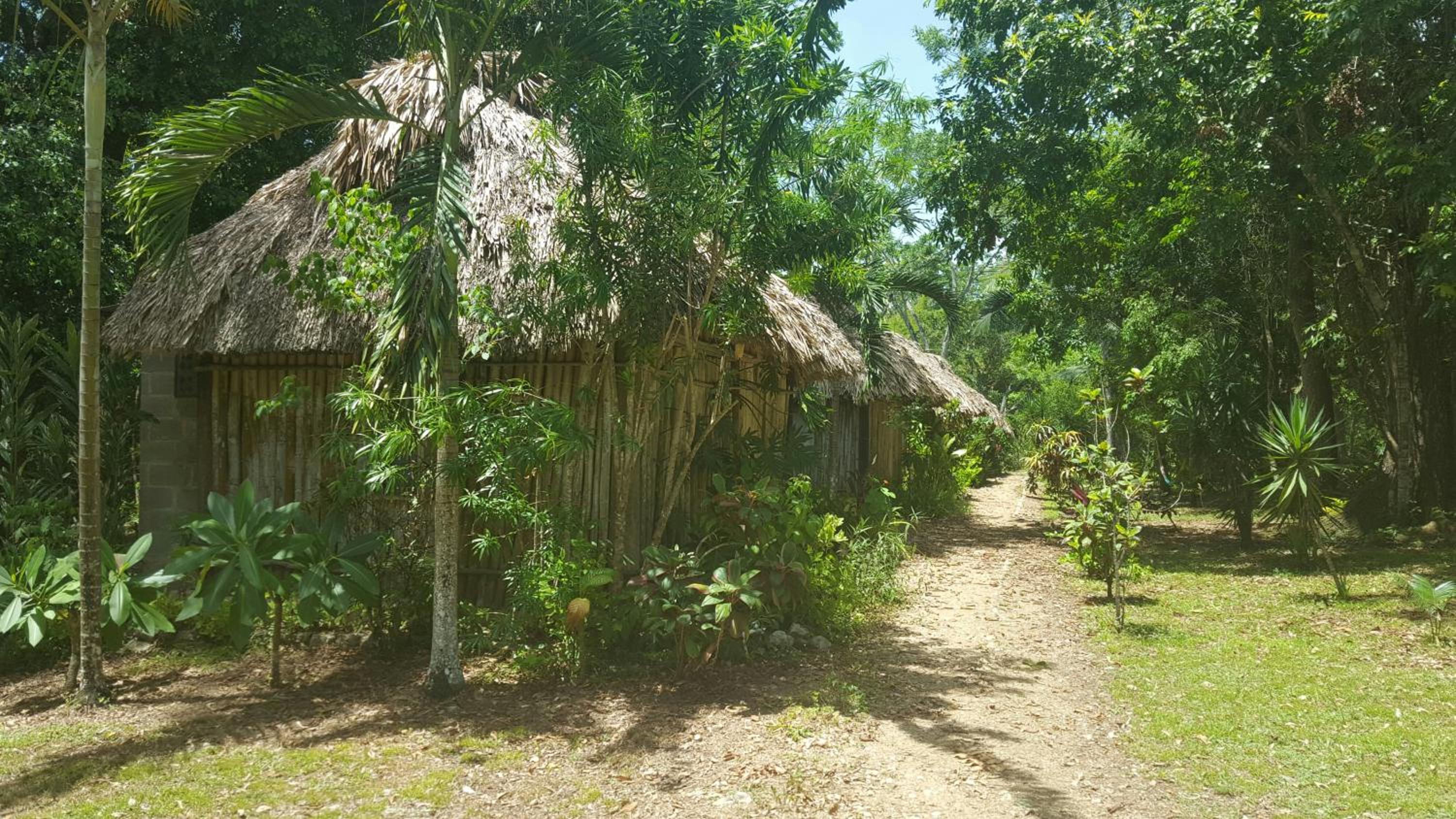 Belize Vacations - Clarissa Falls Resort - Property Image 39