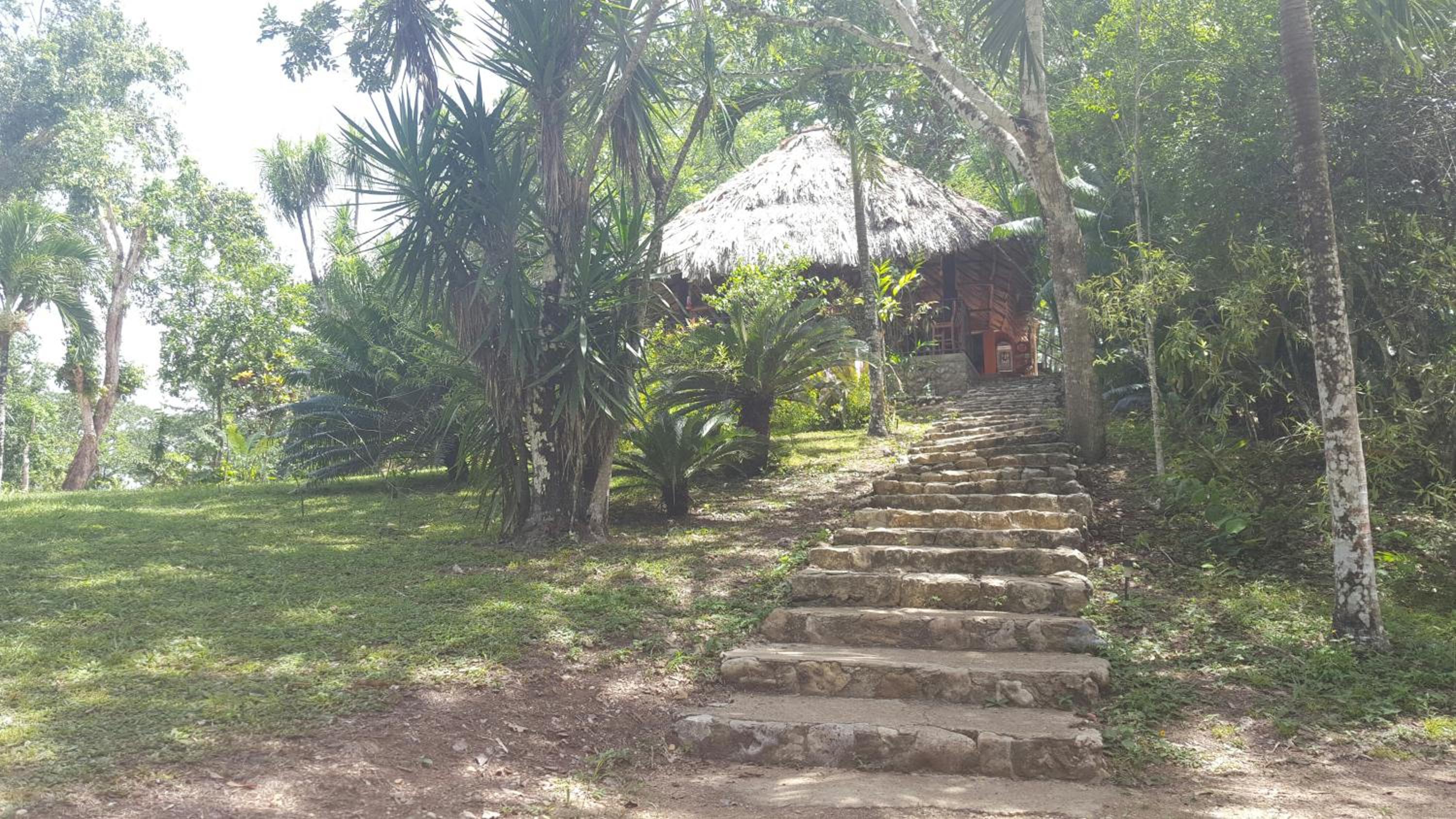 Belize Vacations - Clarissa Falls Resort - Property Image 27
