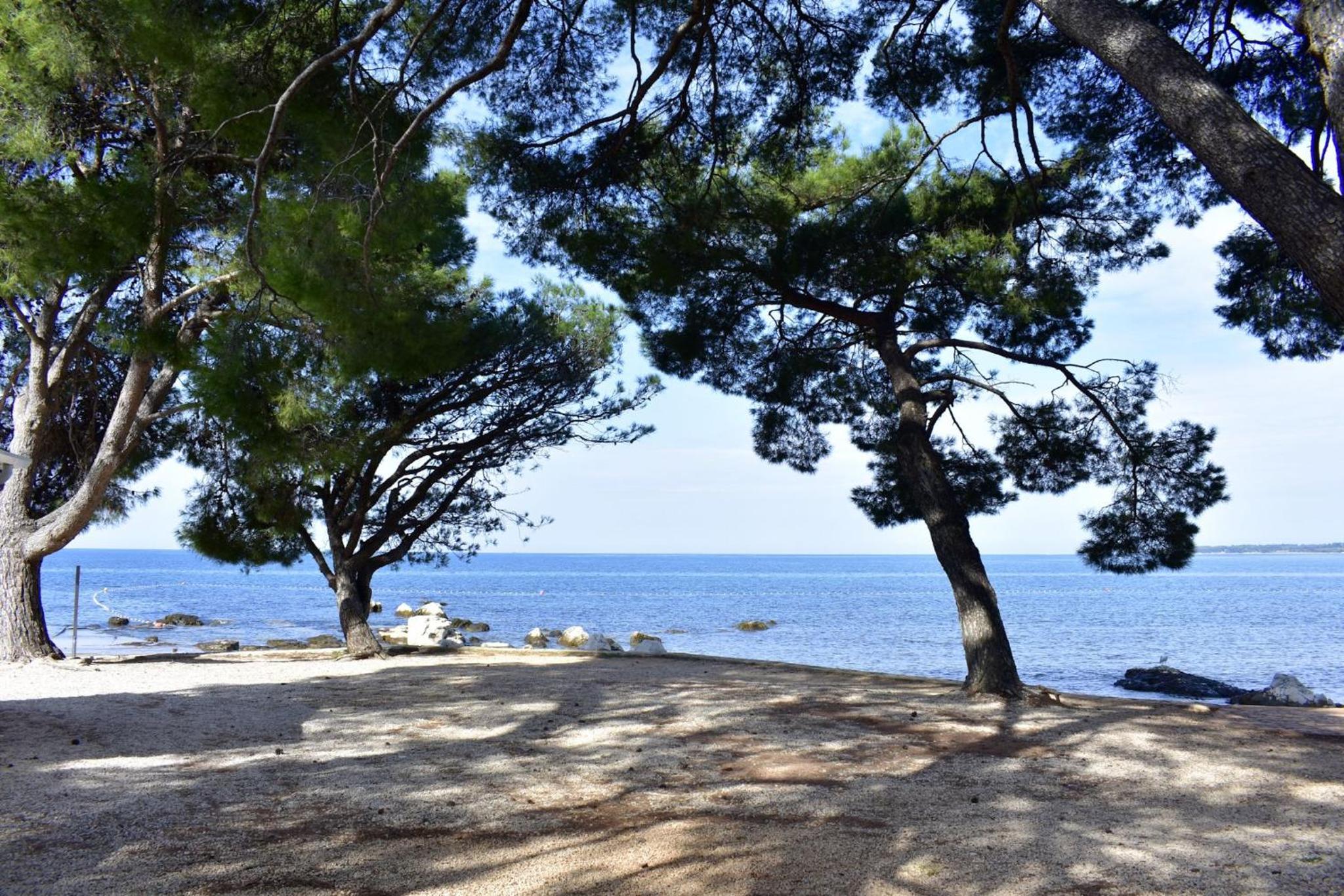 Spacious apartment in Umag with garden