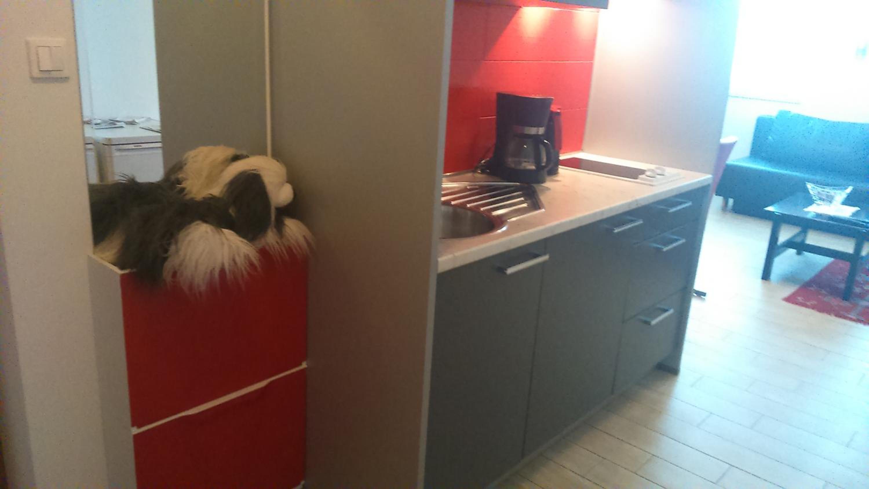 Photo 9
