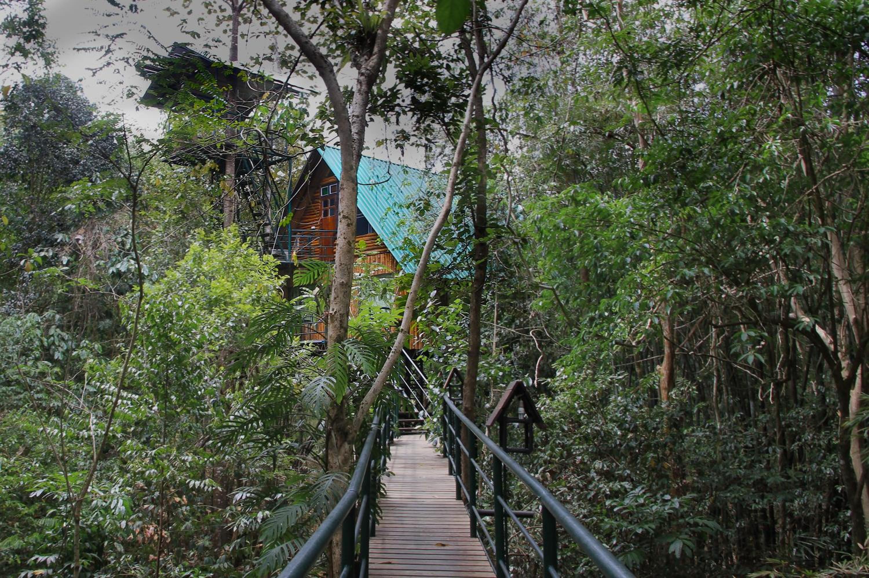 Khao Sok Tree House Resort
