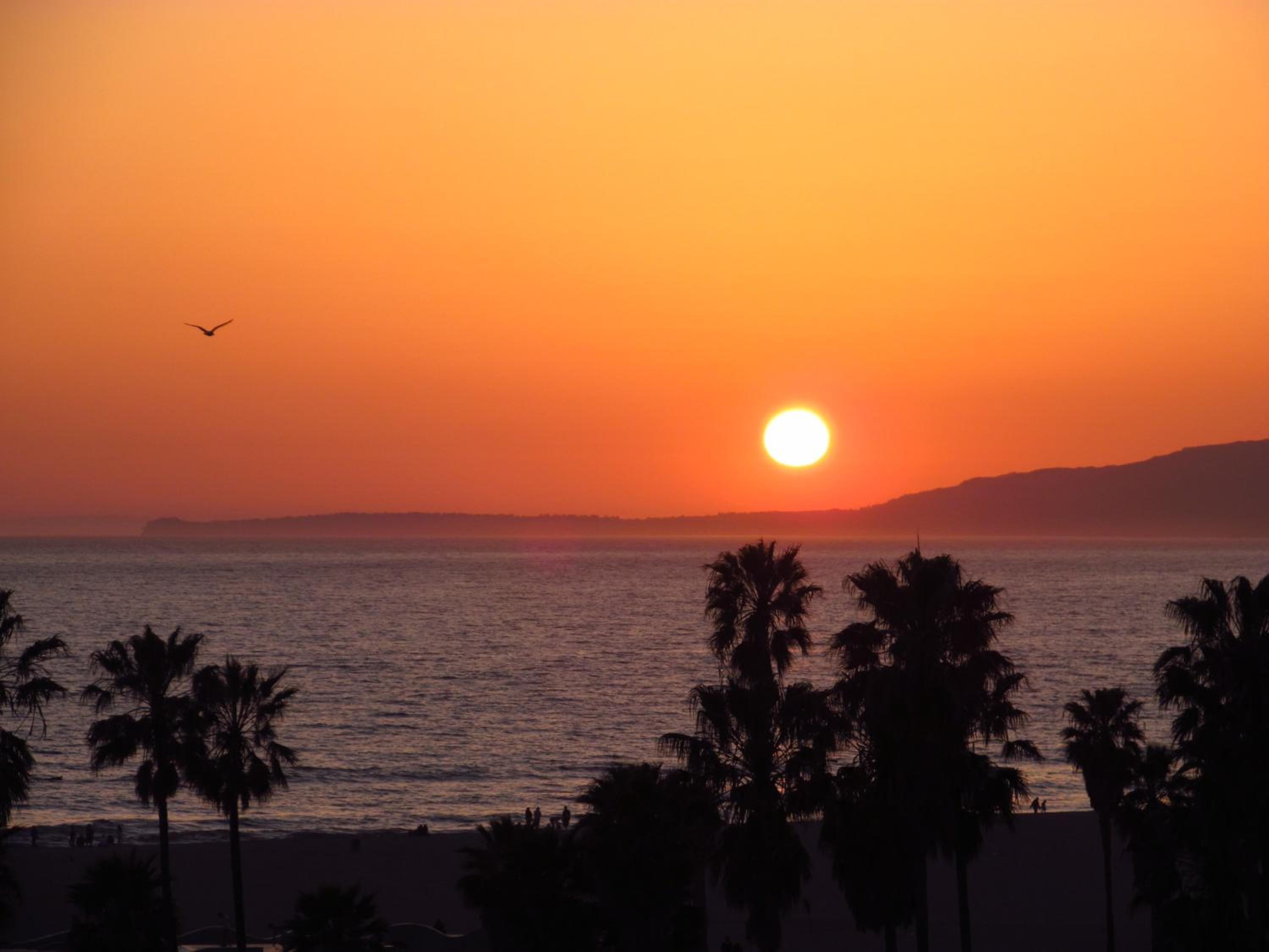 Venice Beach Hostel