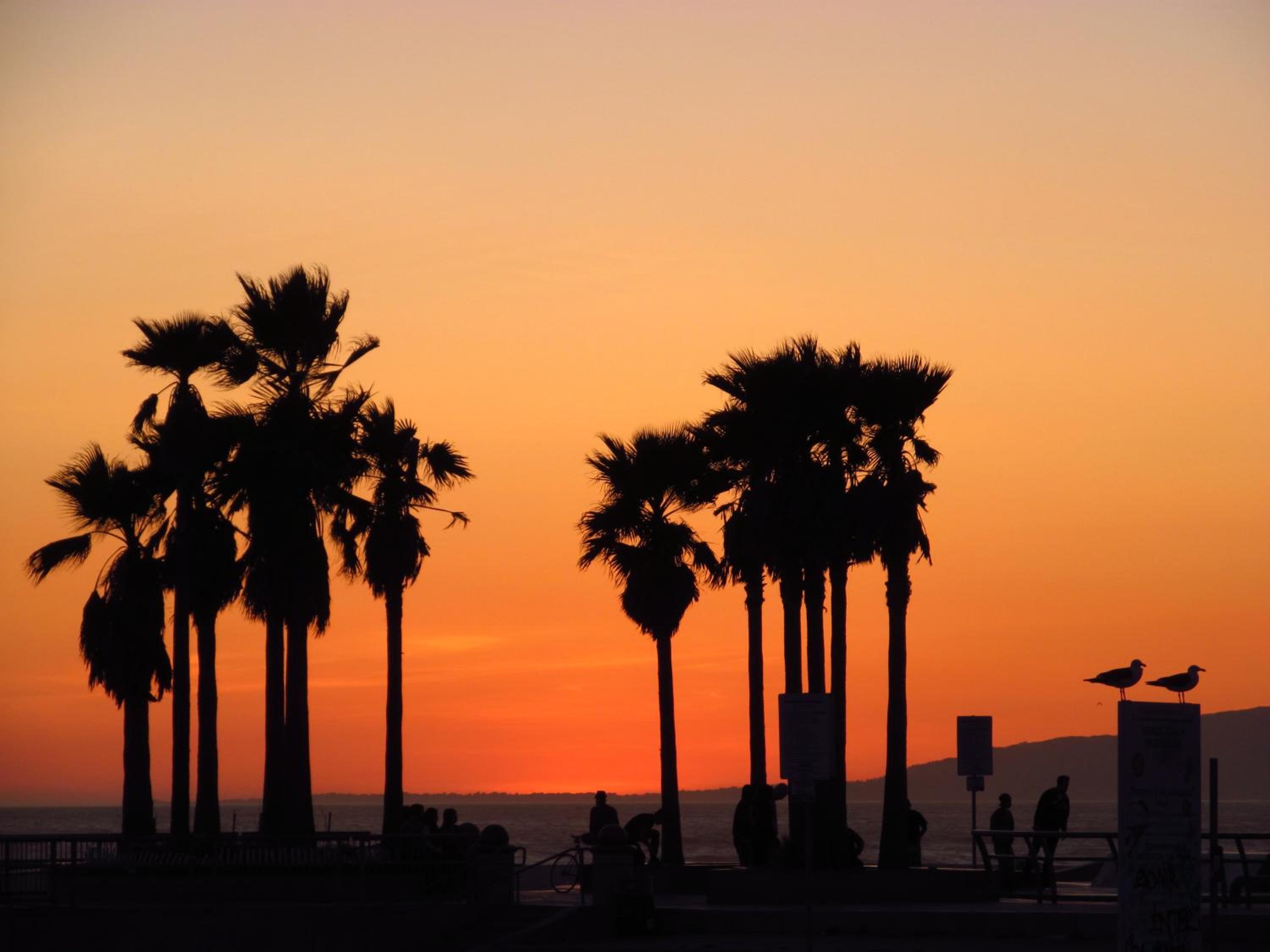 Venice Beach Hostel