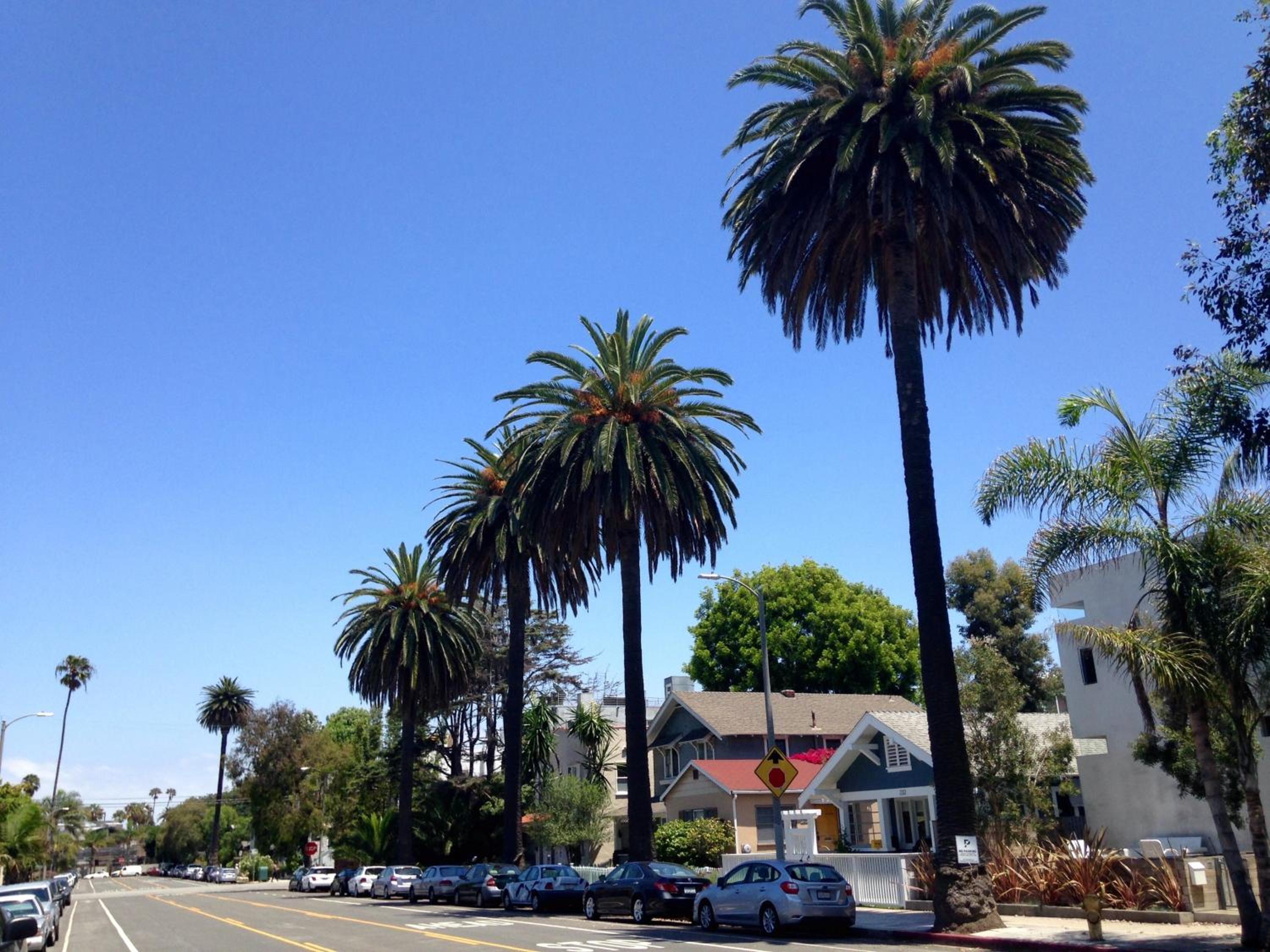 Venice Beach Hostel