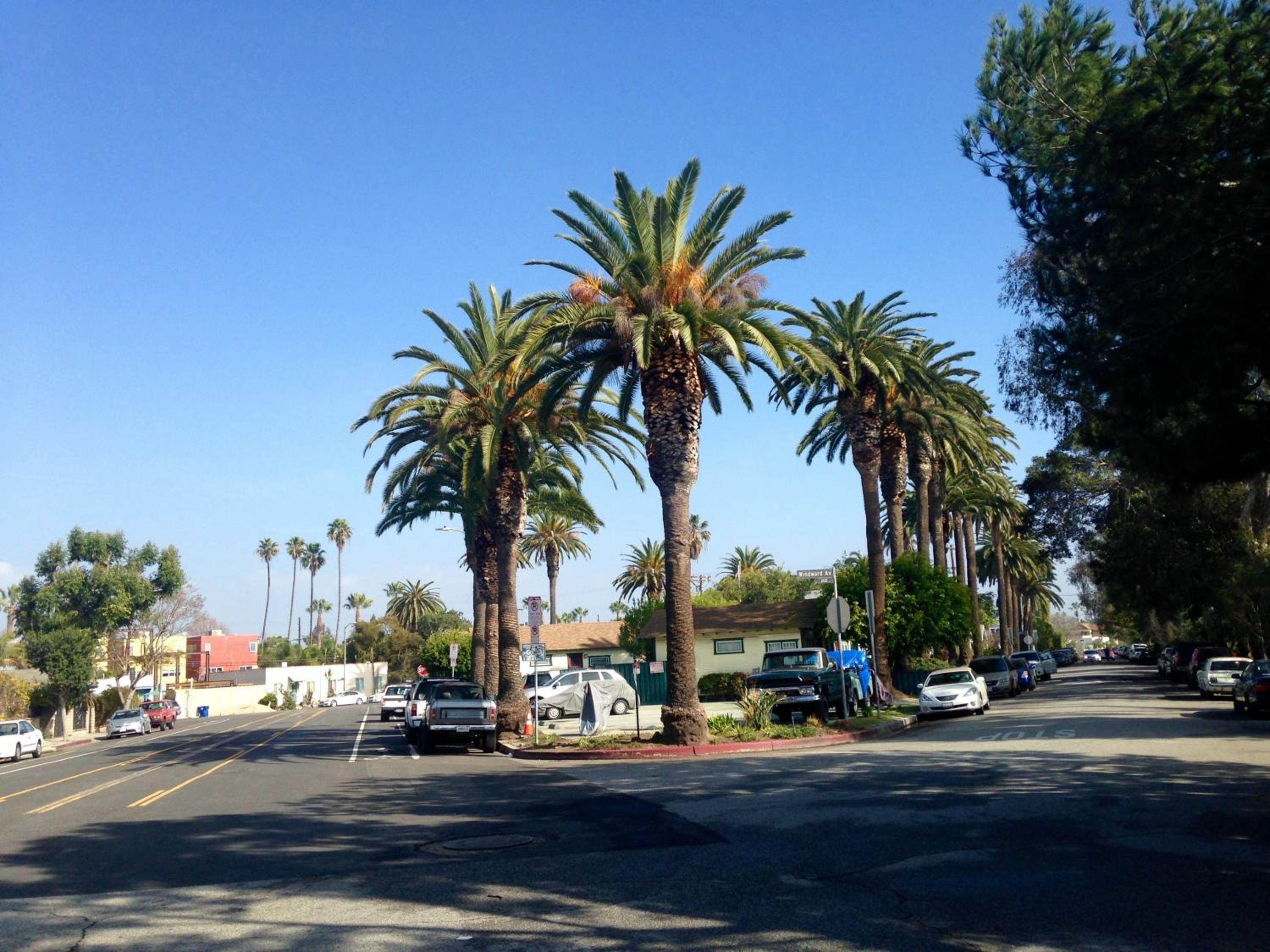 Venice Beach Hostel