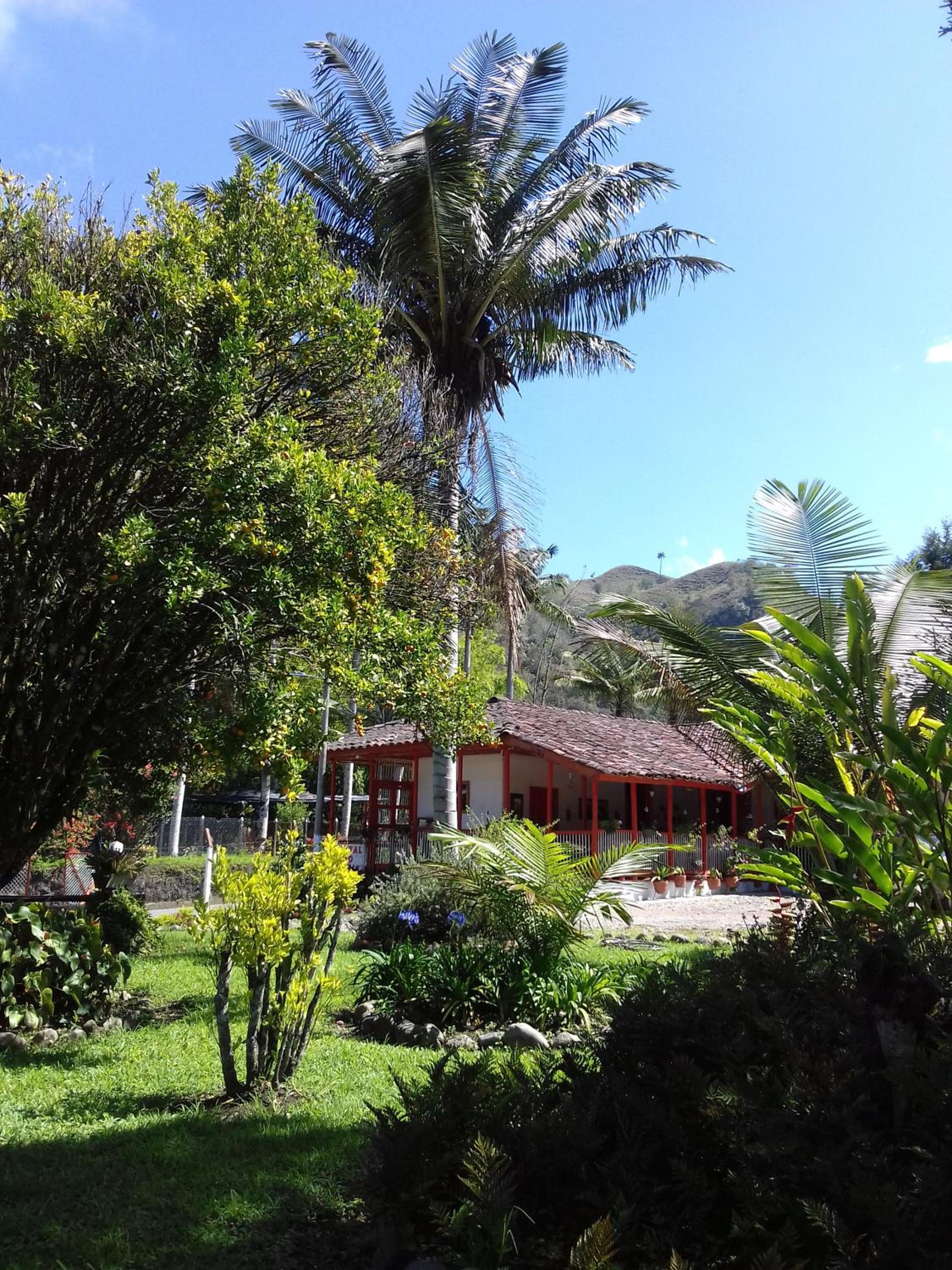 Photo 21
