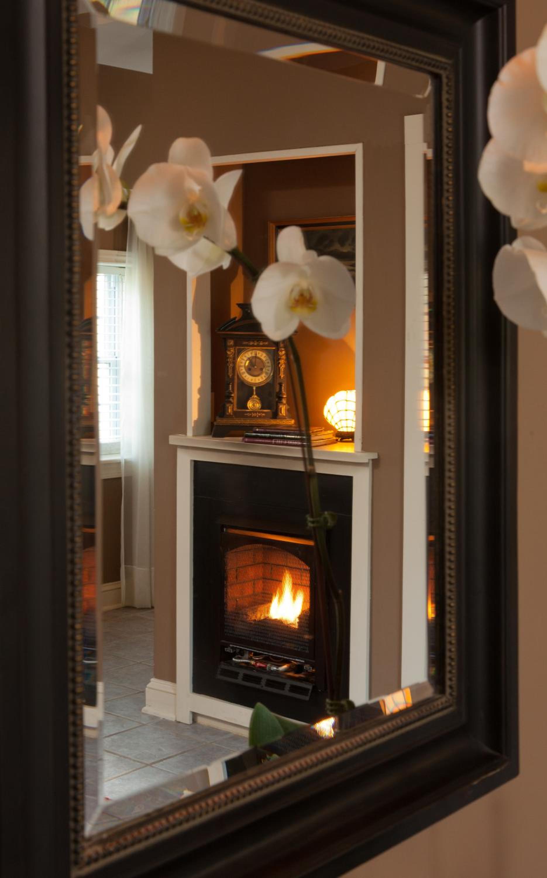 The Estate at Meander