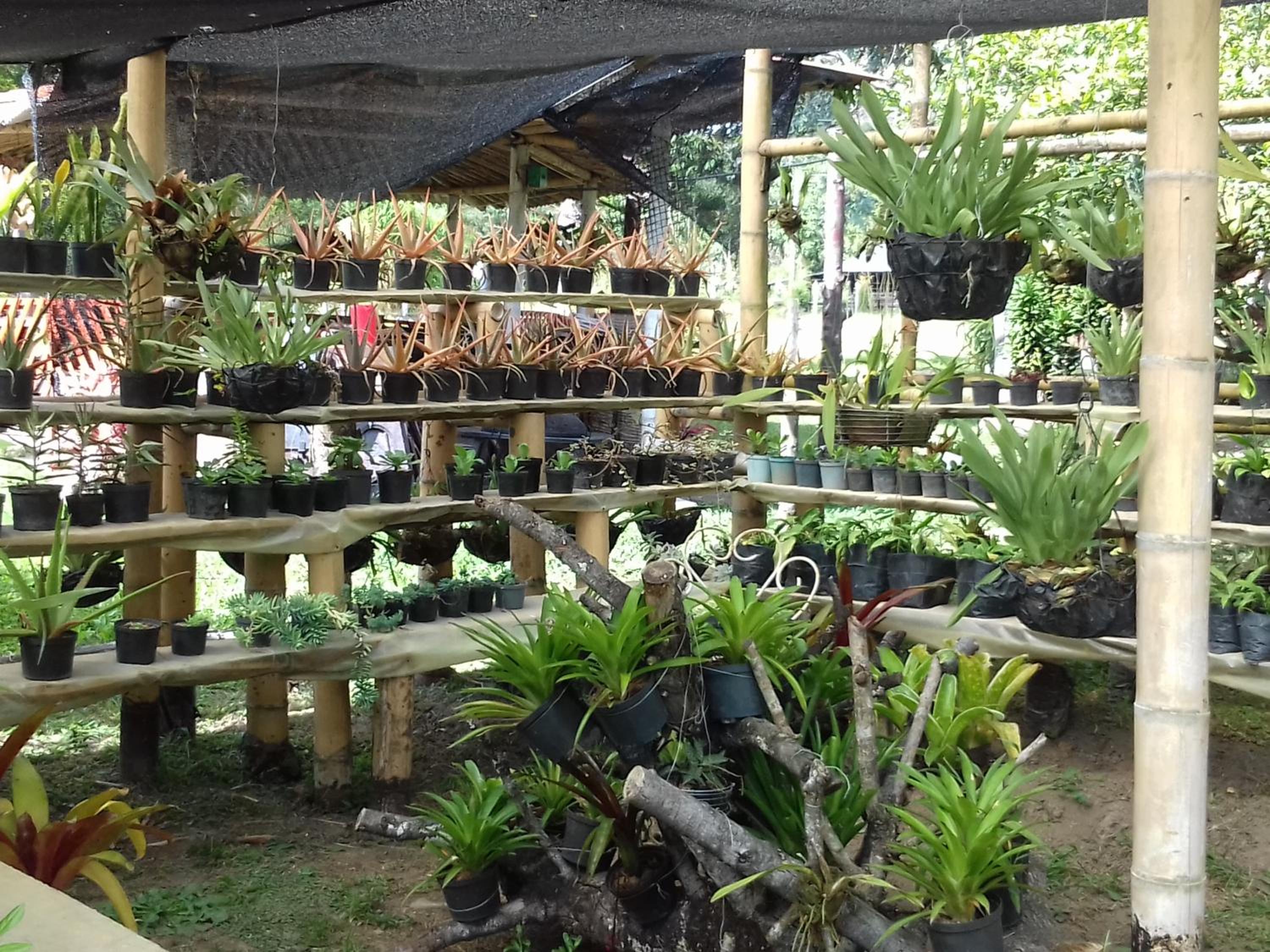 Photo 40