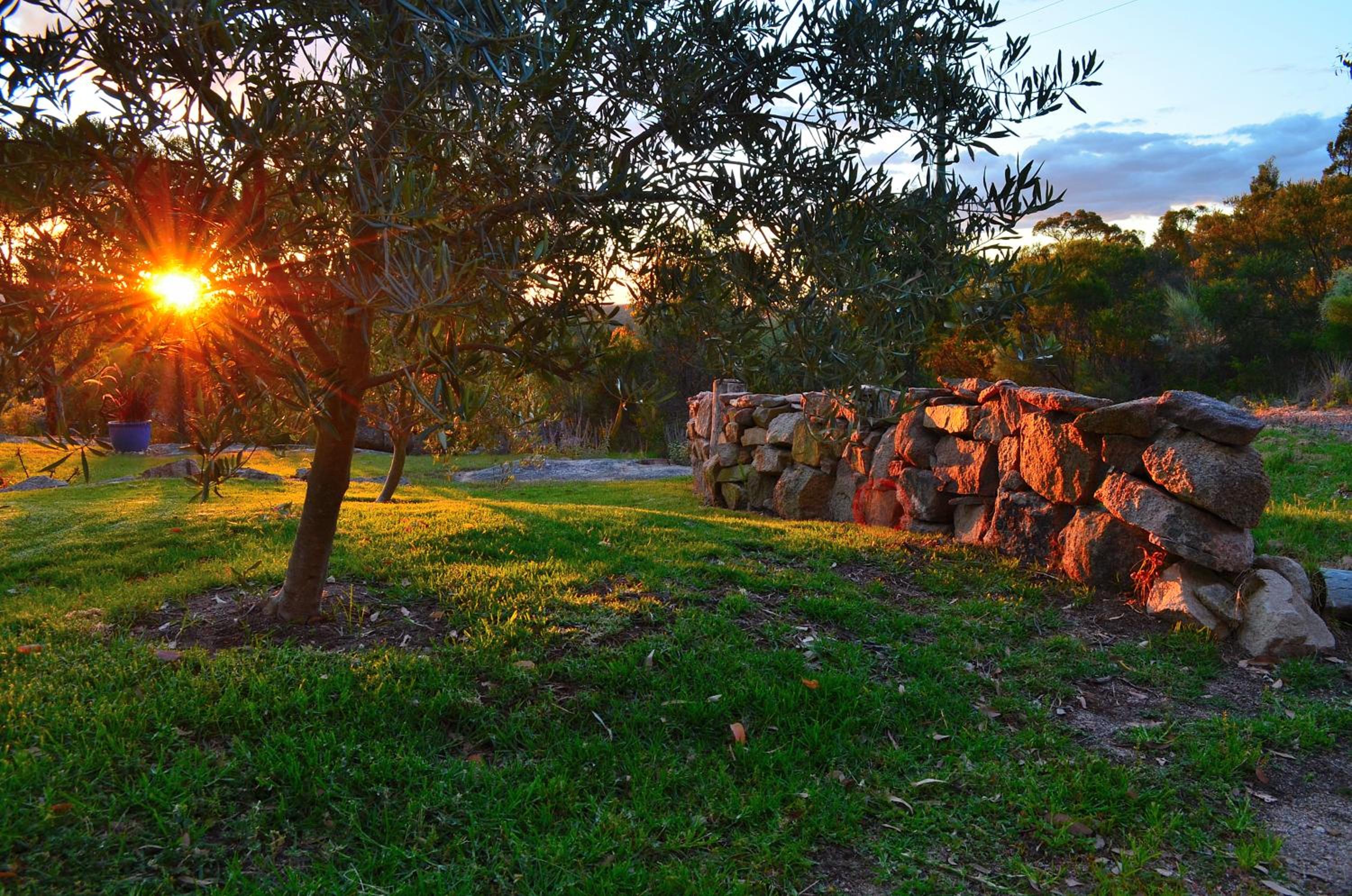 31 The Rocks