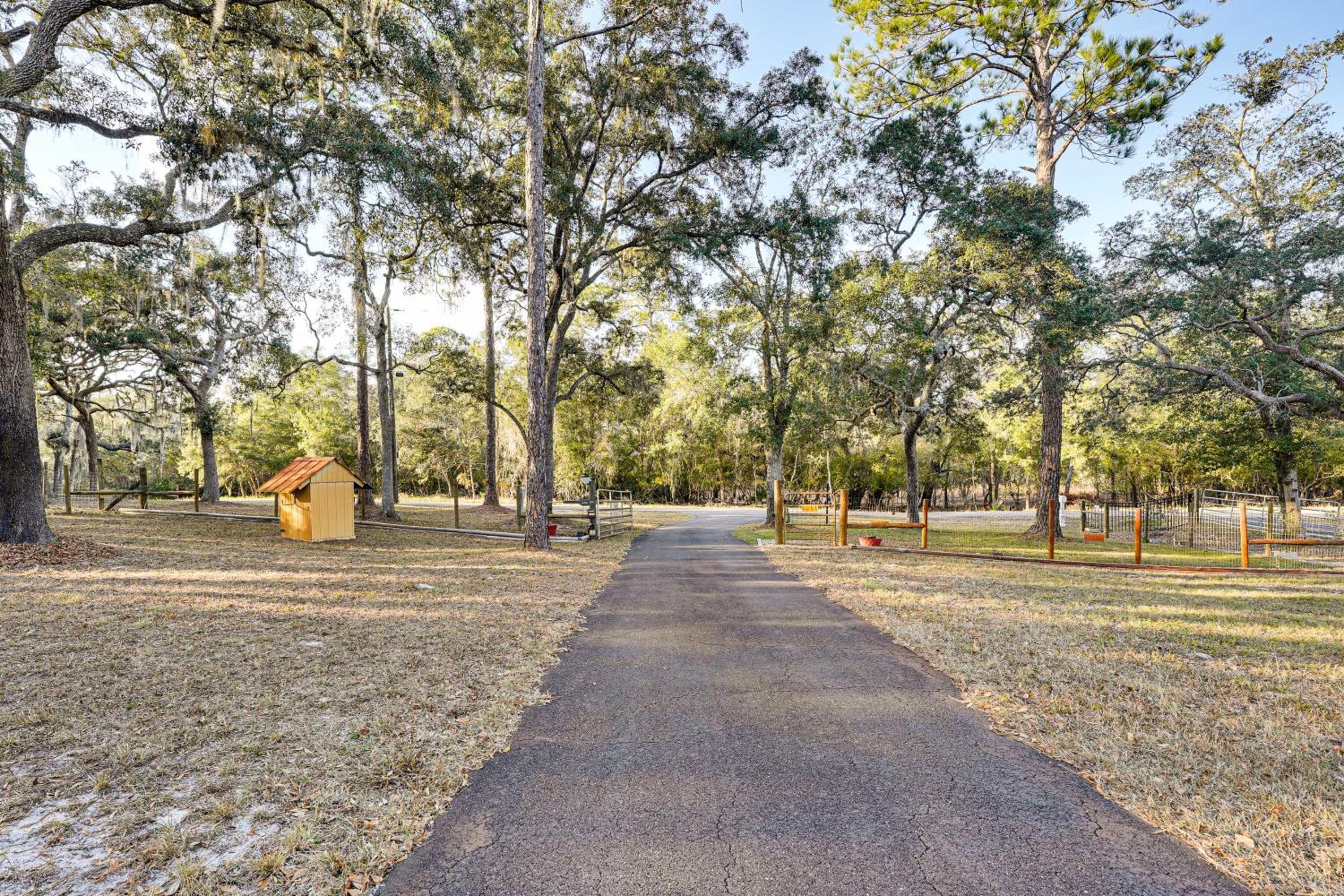 Dog-Friendly Home with Dock on Suwannee River!