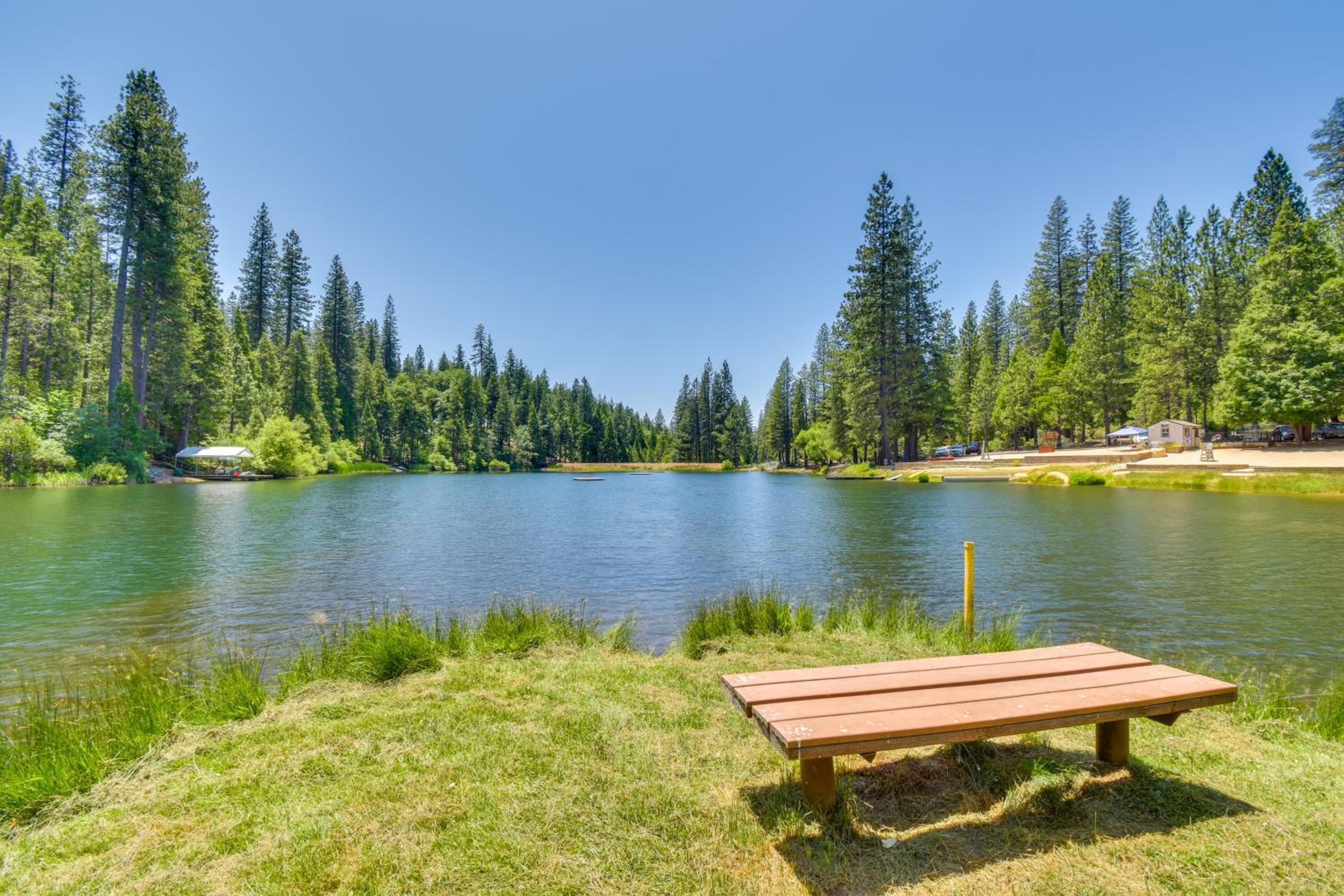 3 Mi to Calaveras Big Trees Group-Ready Mtn Cabin