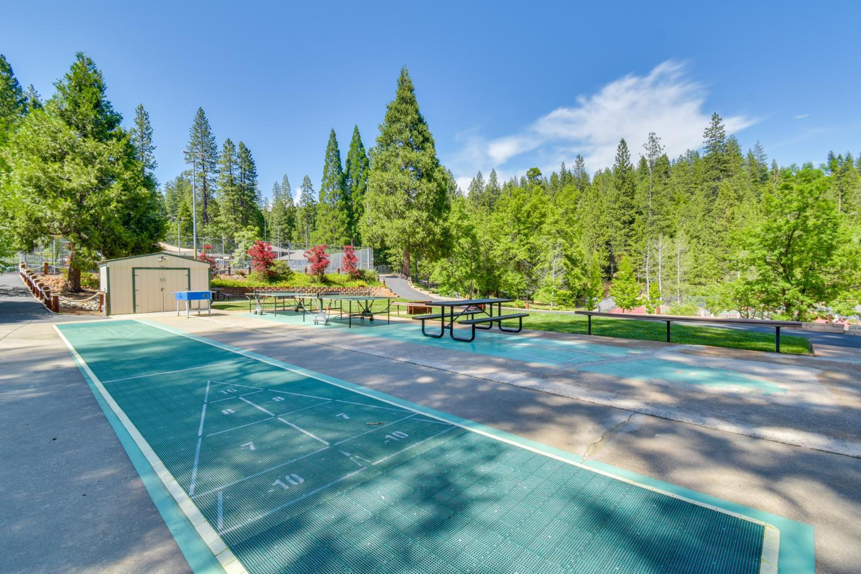 3 Mi to Calaveras Big Trees Group-Ready Mtn Cabin