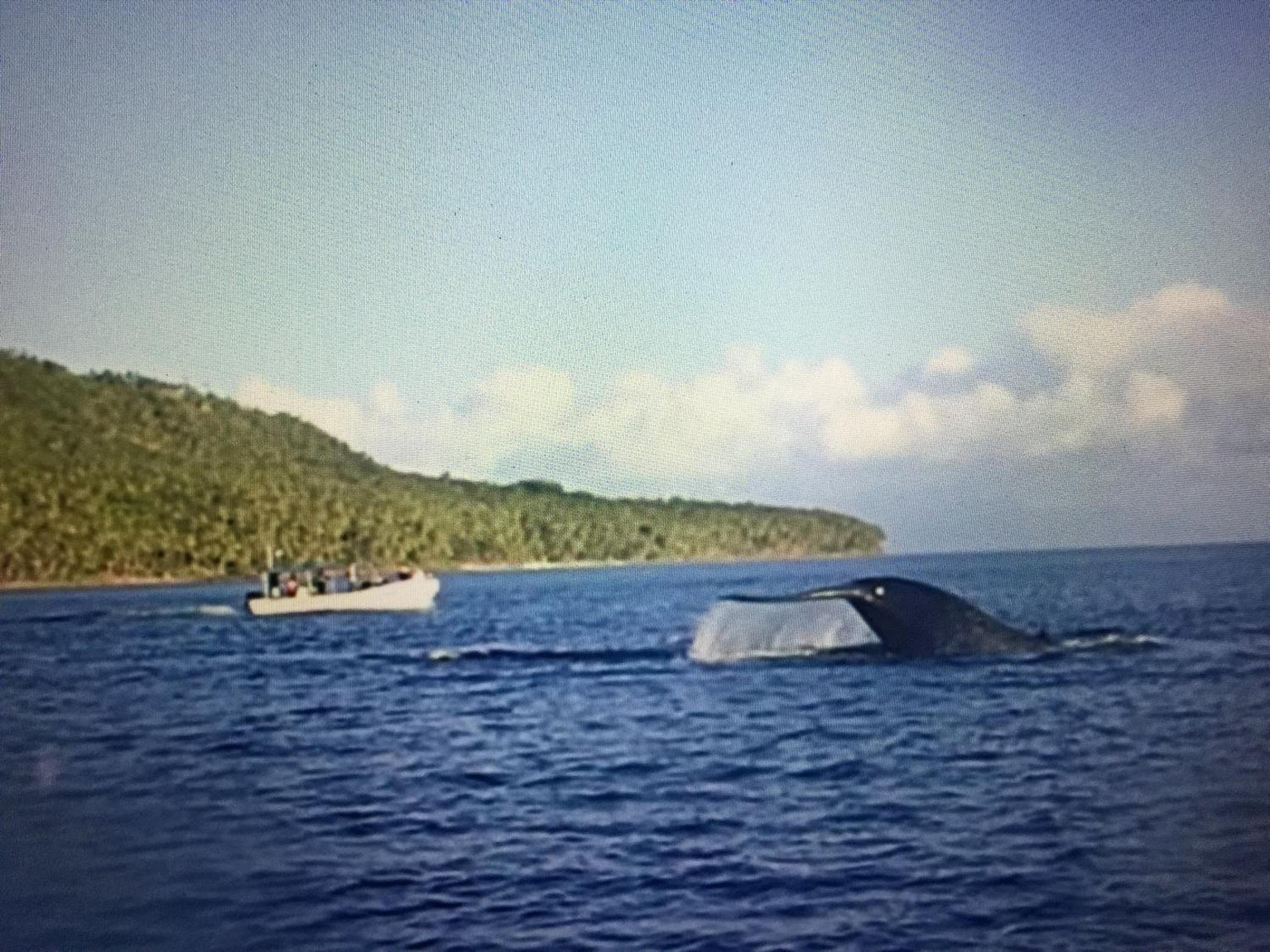Pintuyan Dive Resort