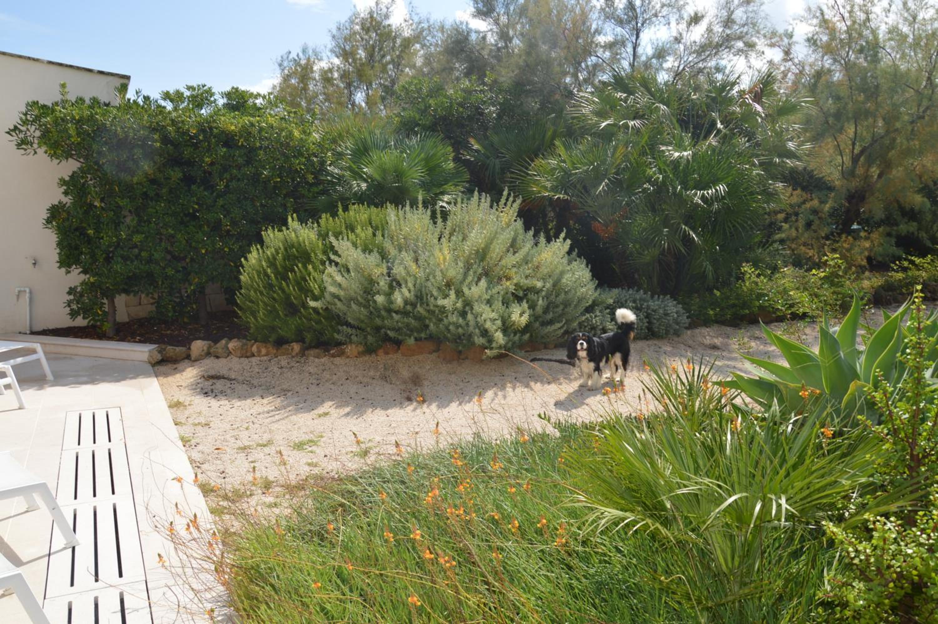 Photo 40