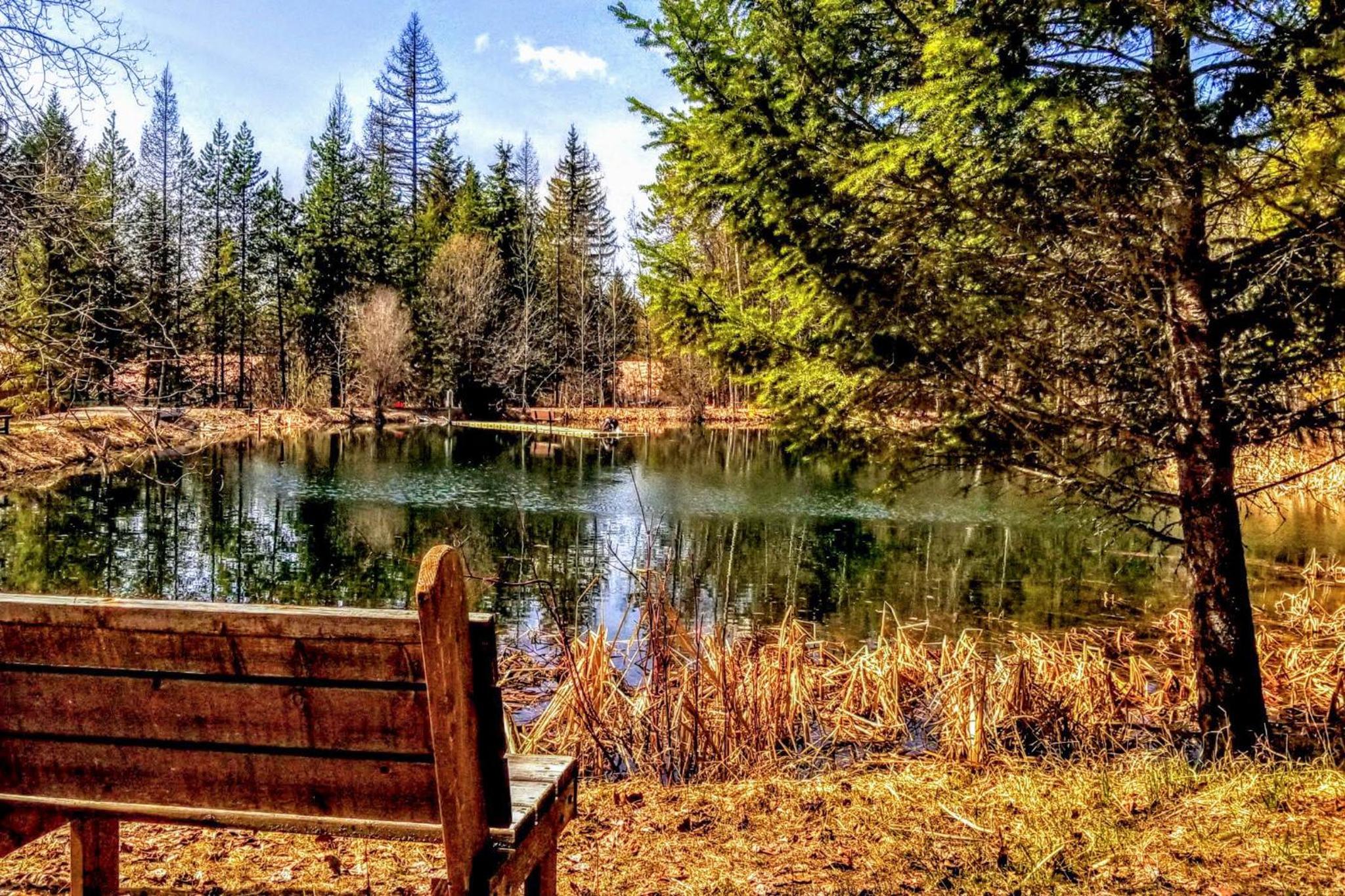 Secluded Mtn Retreat with Resort Perks in Whitefish!