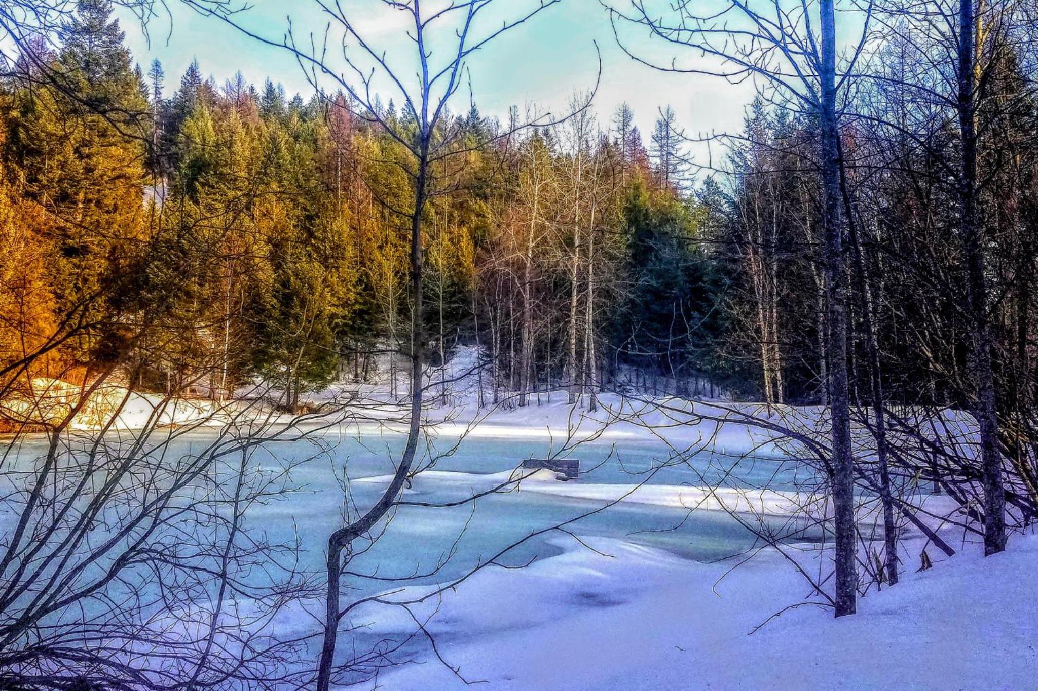 Secluded Mtn Retreat with Resort Perks in Whitefish!