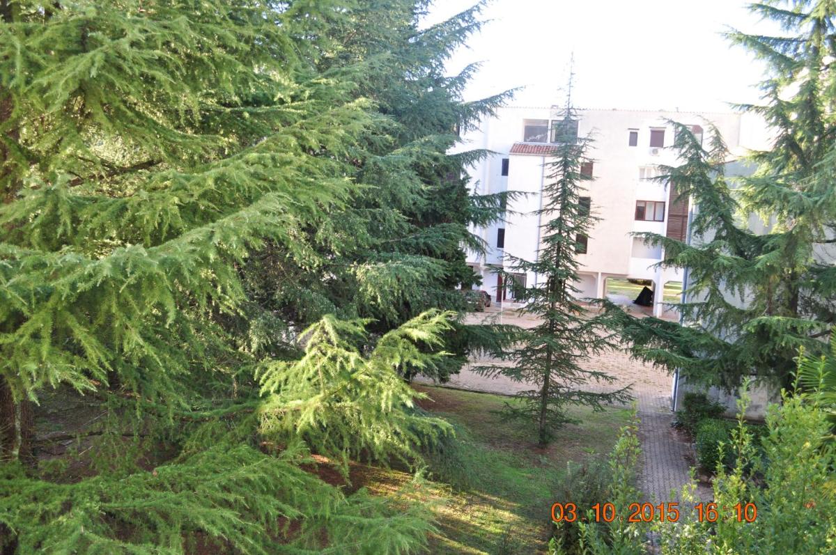 Apartman Dragica view 4