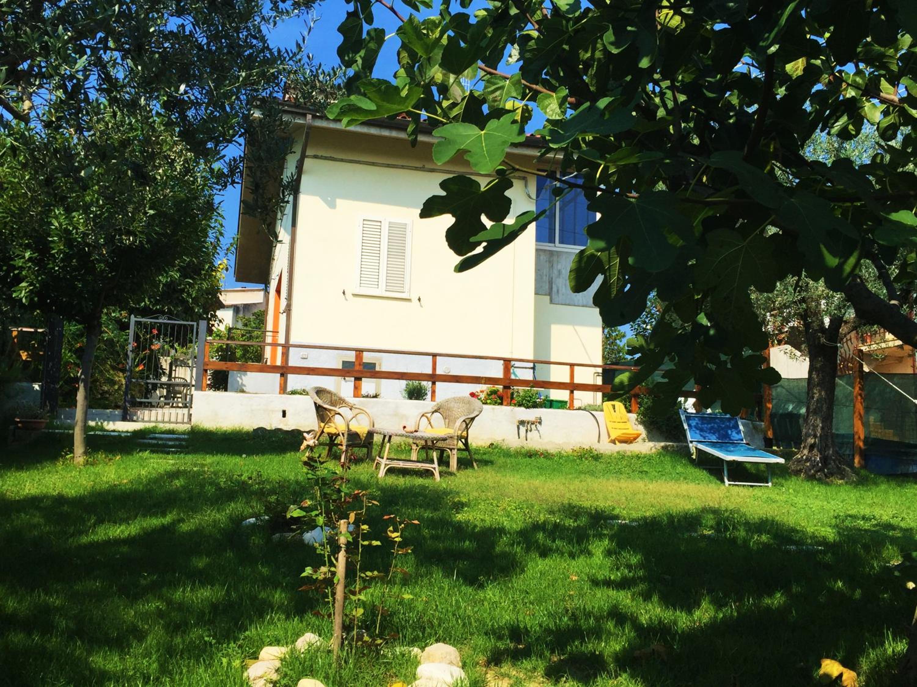 Photo 11