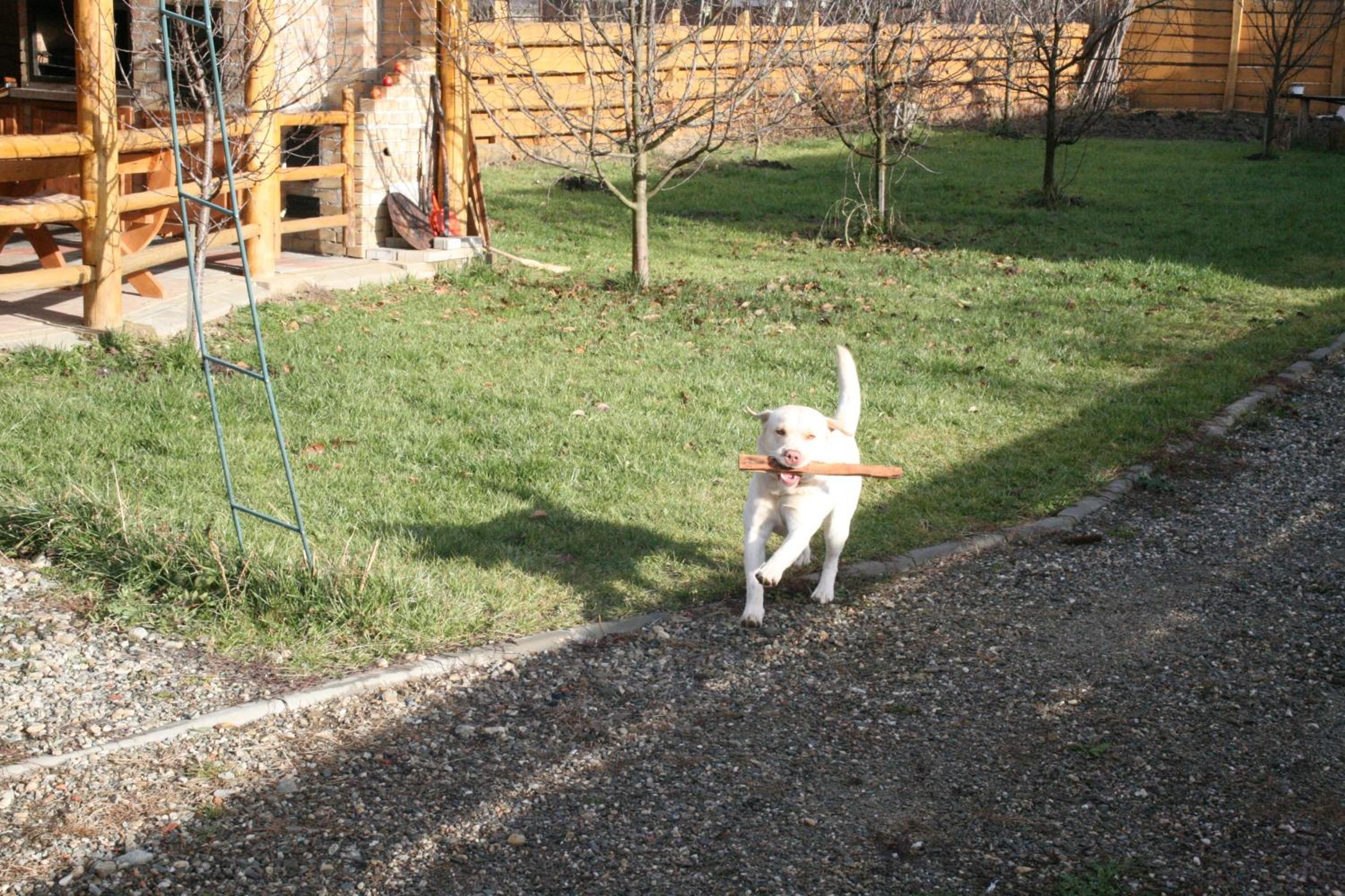 Photo 28