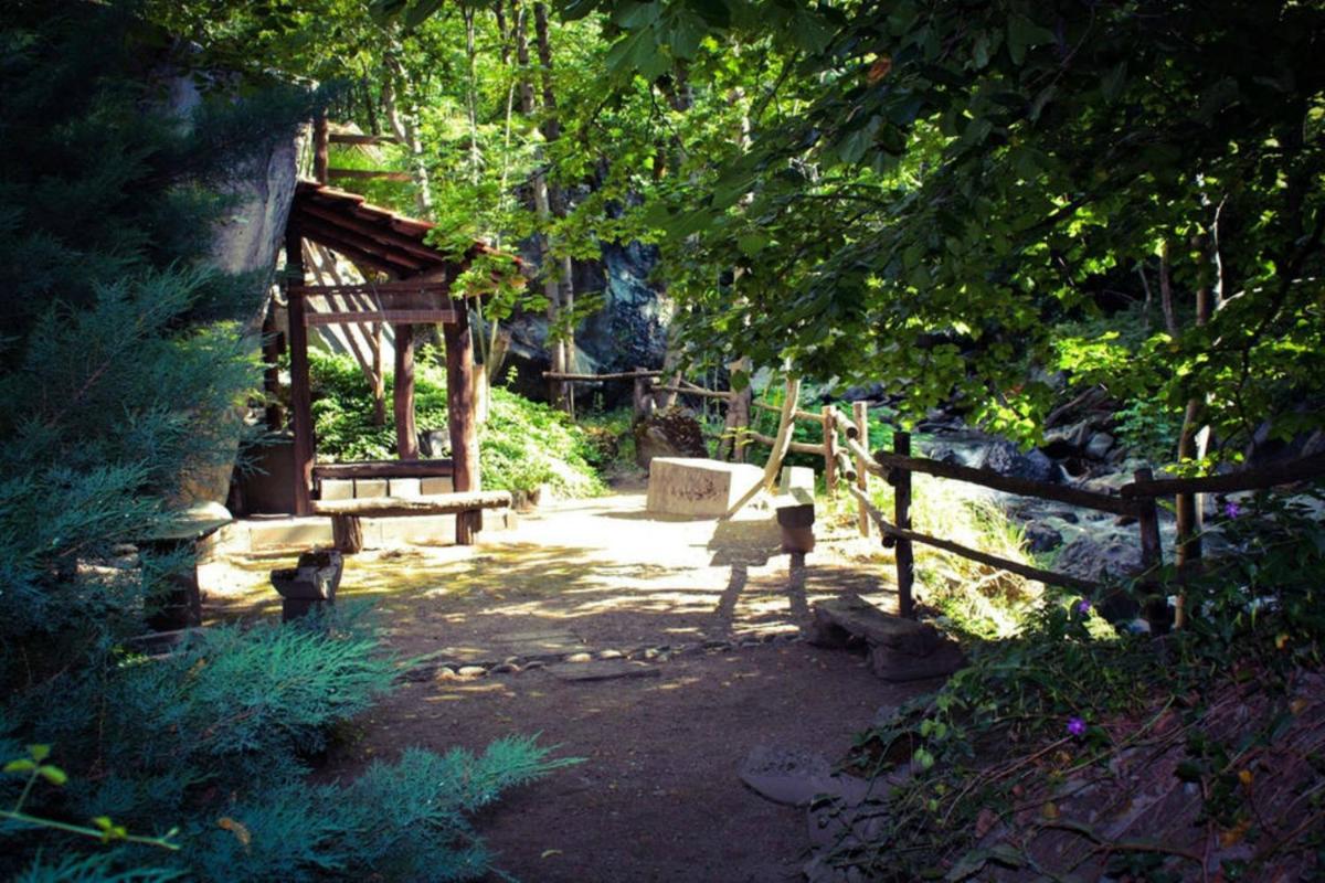 Photo 12