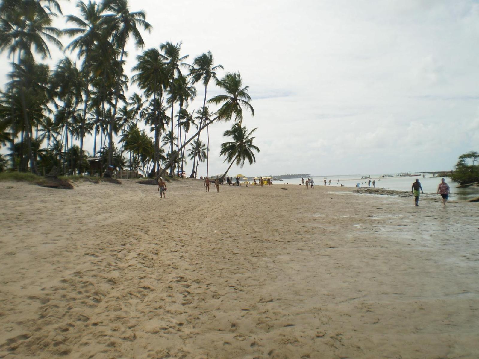 Photo 27