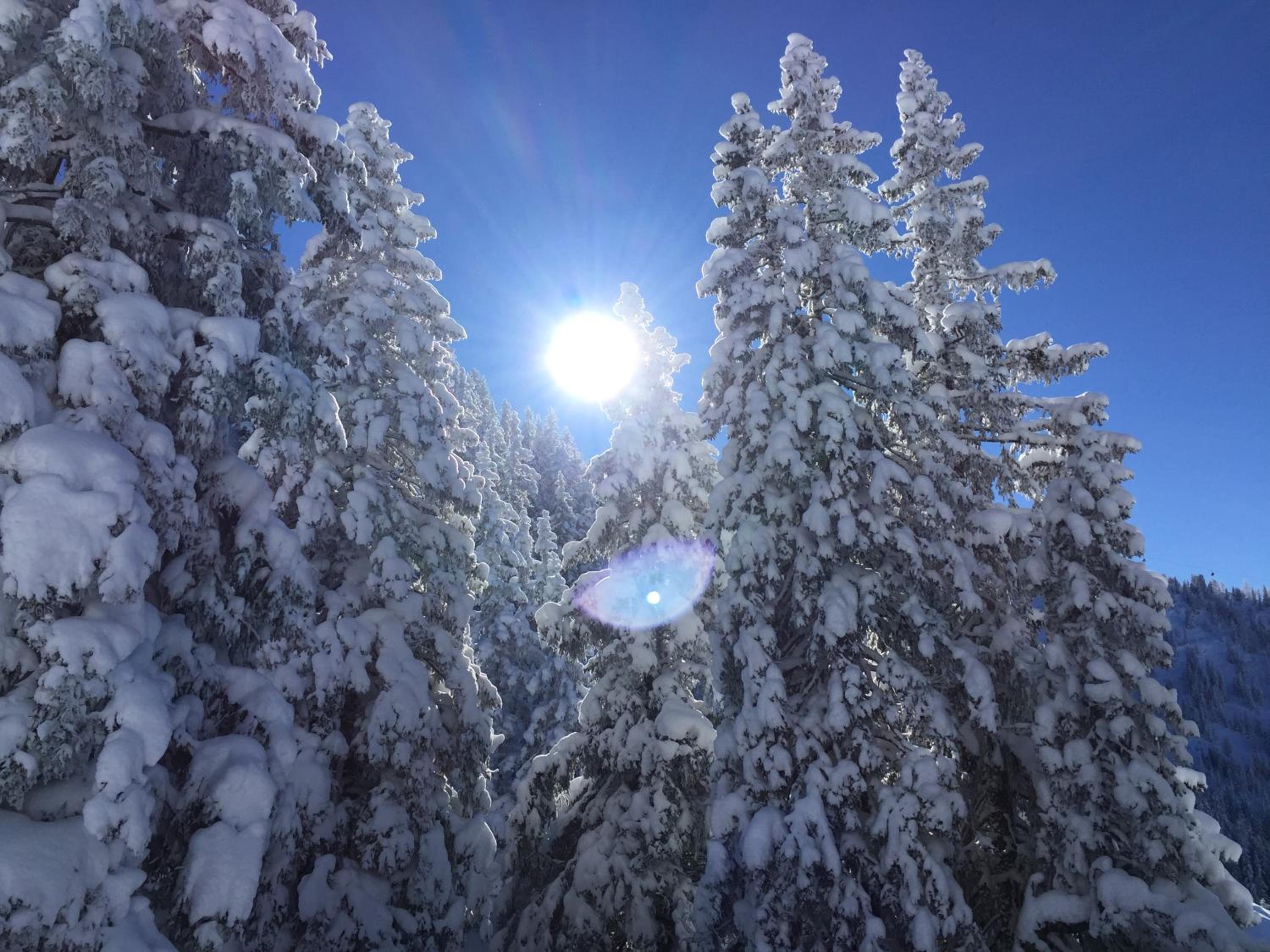 Das Alpbach Juwel