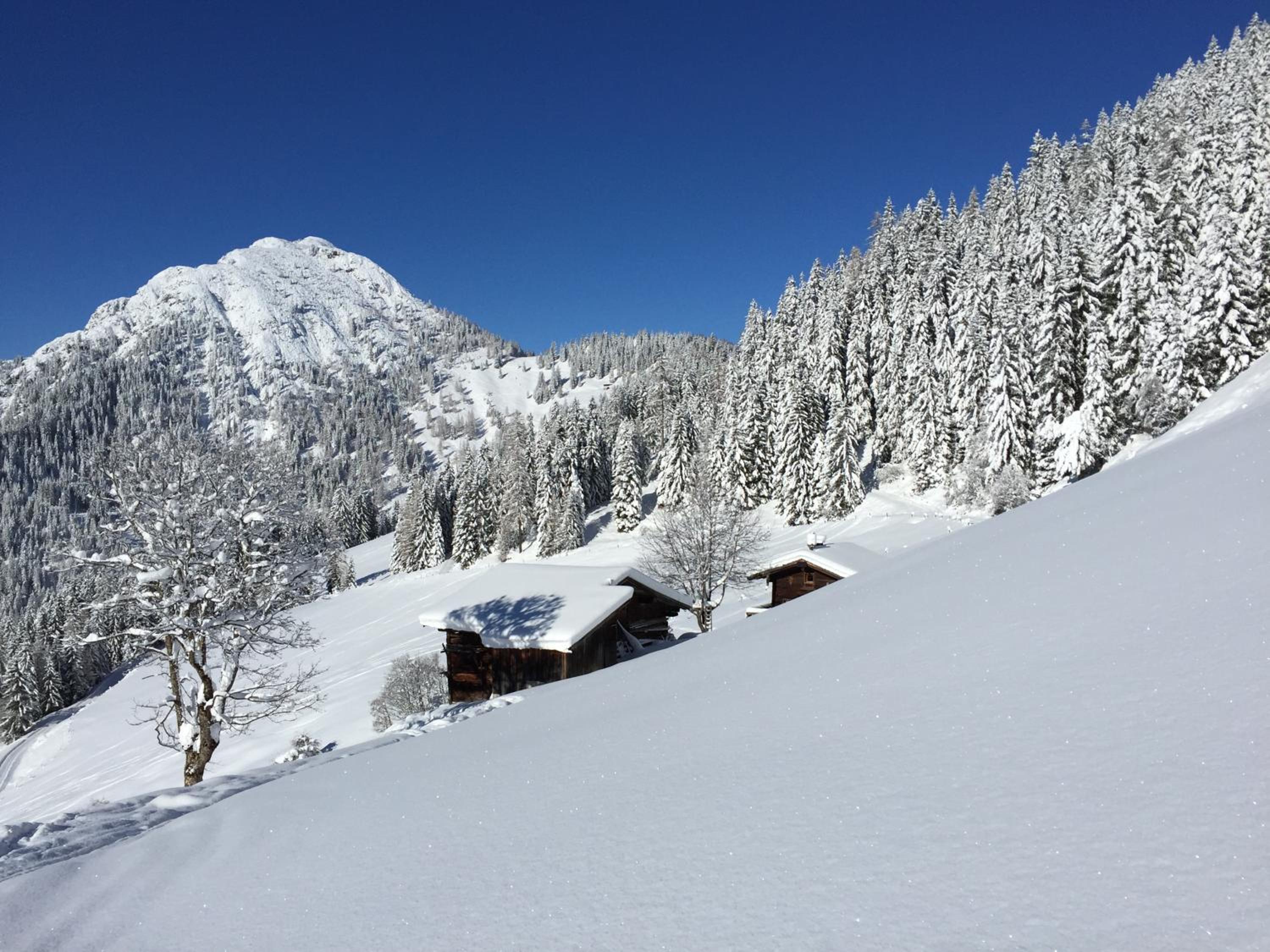 Das Alpbach Juwel