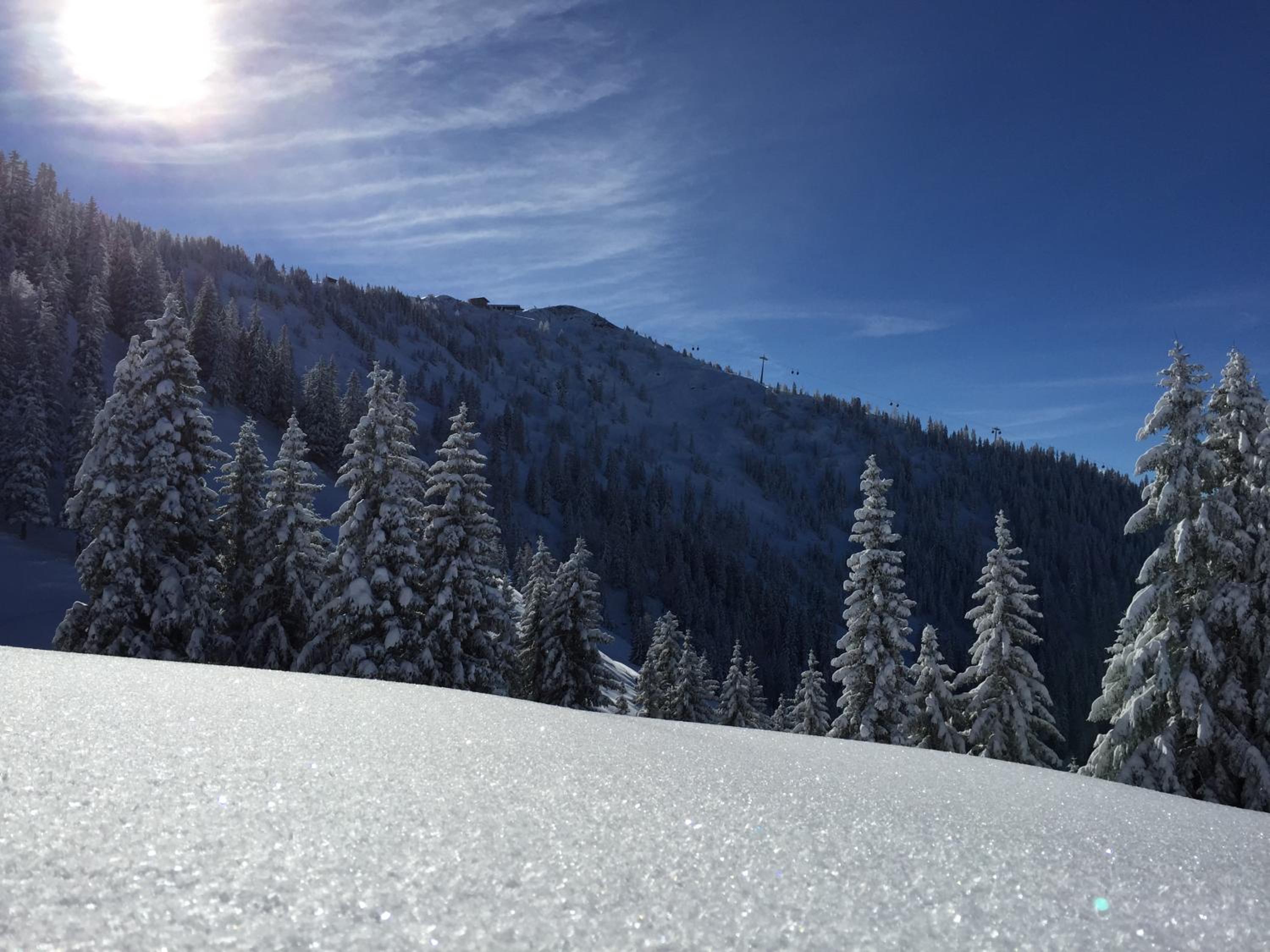 Das Alpbach Juwel
