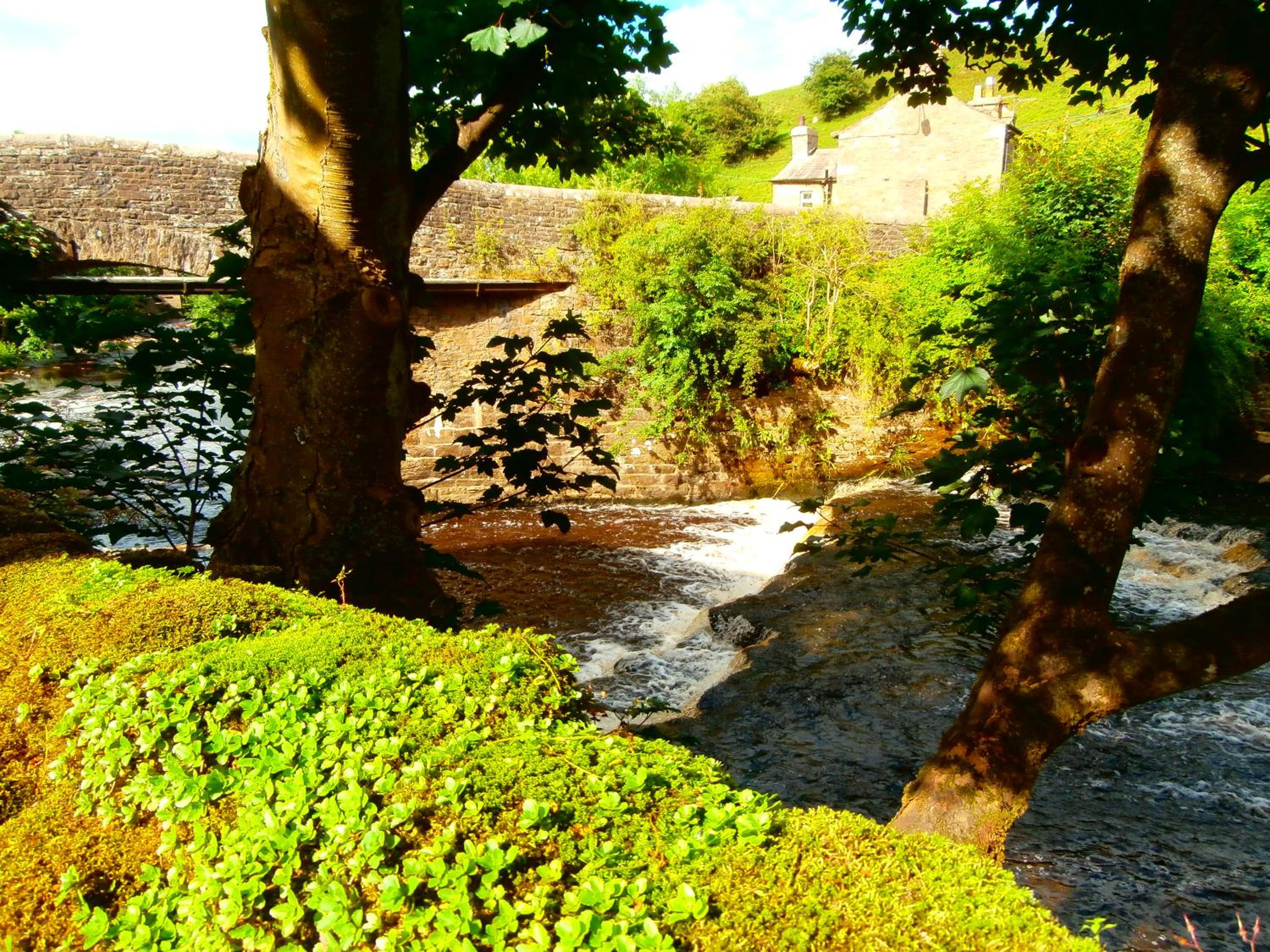 Photo 7