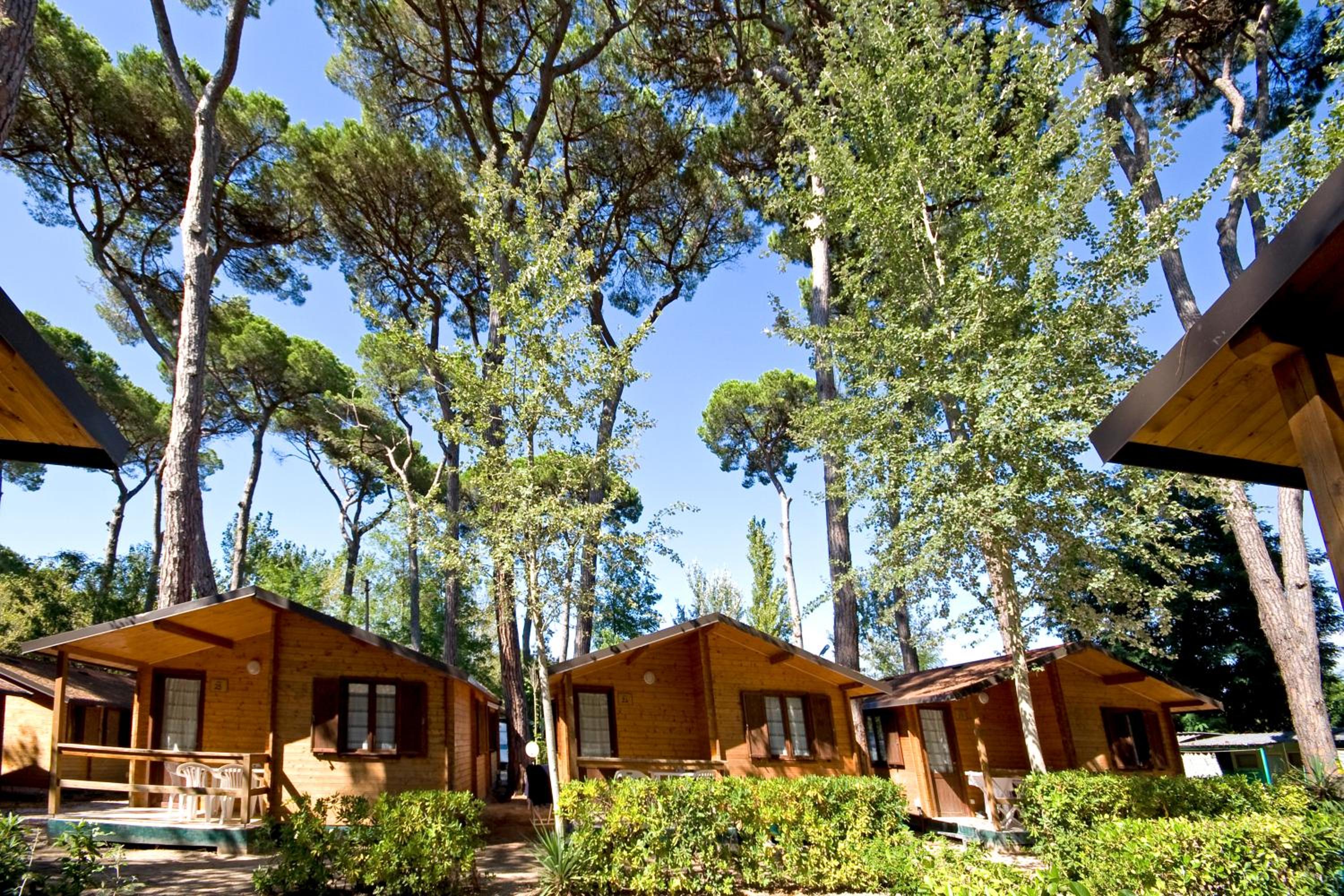Campeggio Boscoverde, photo 91