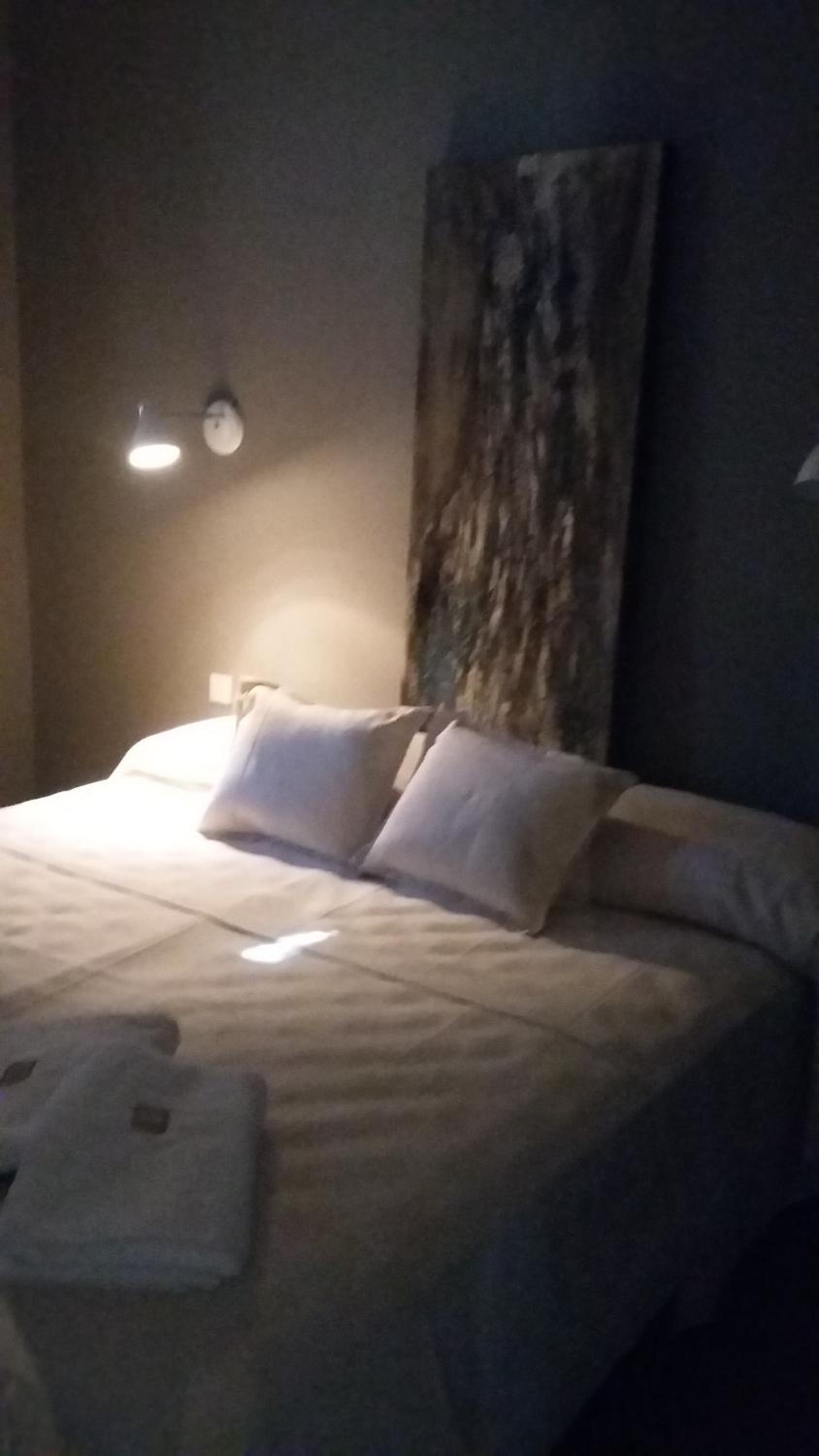 Bosque Divino Cabañas & Suites