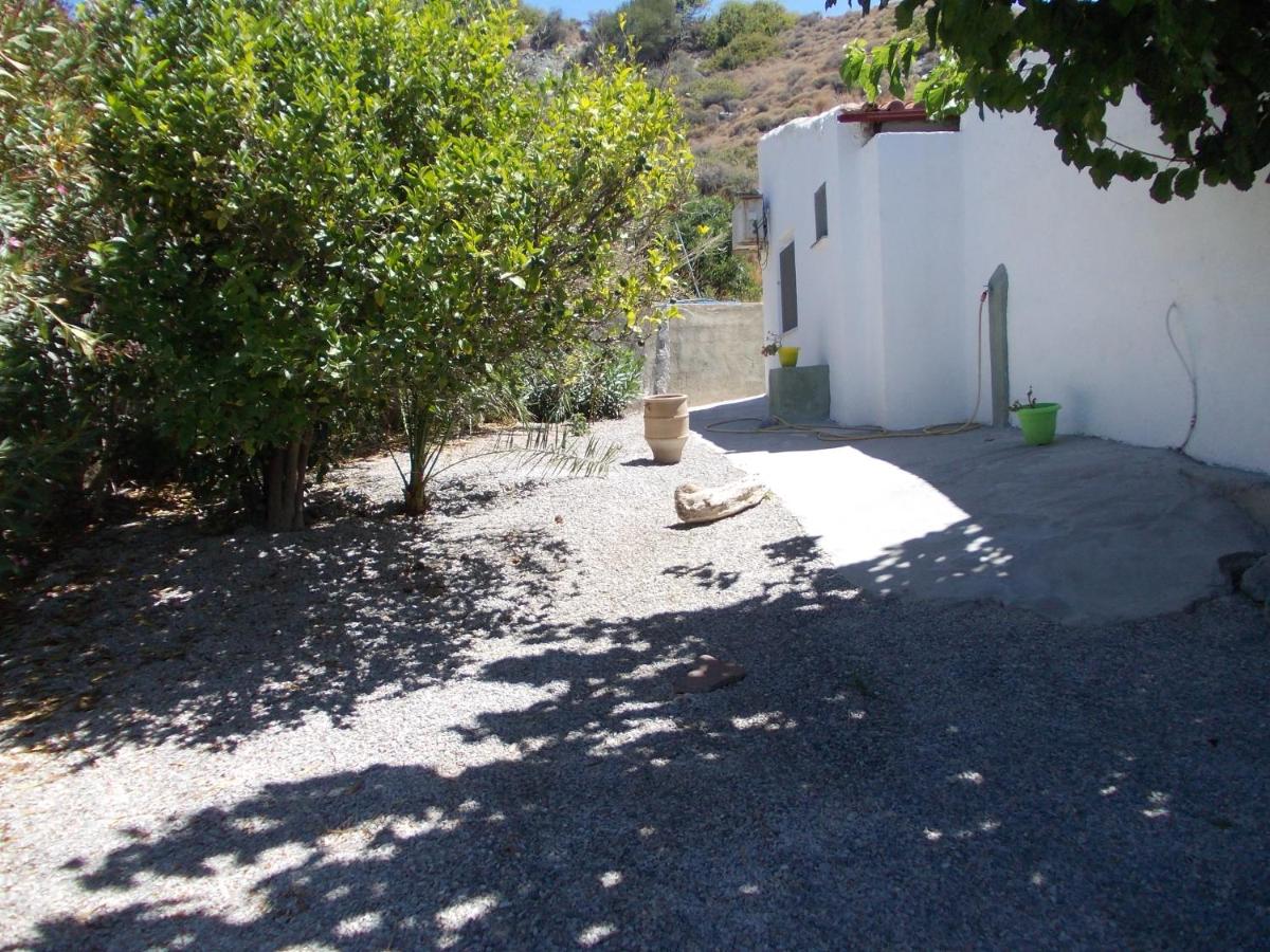 Photo 45