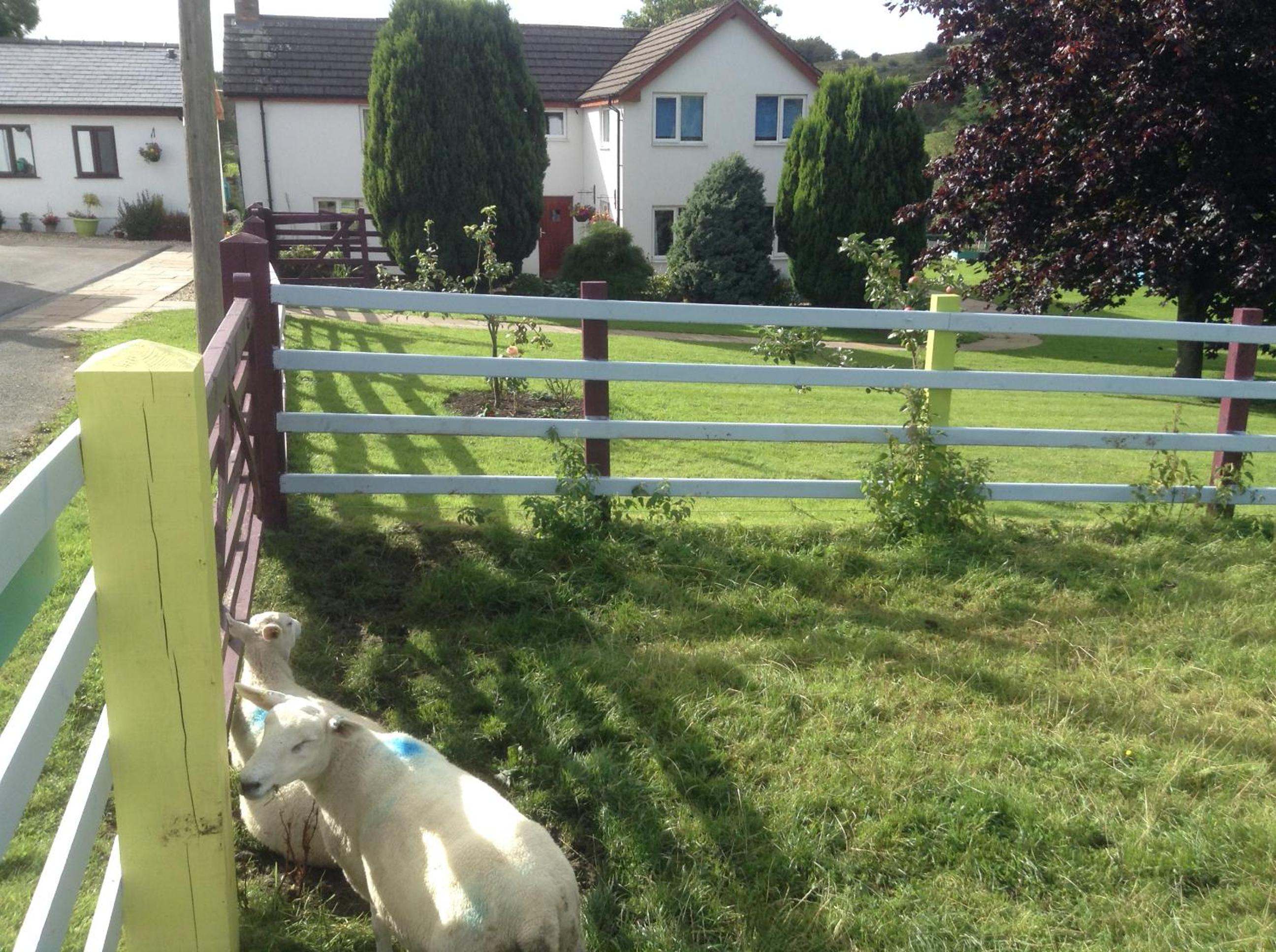 Glan Llyn Farm House