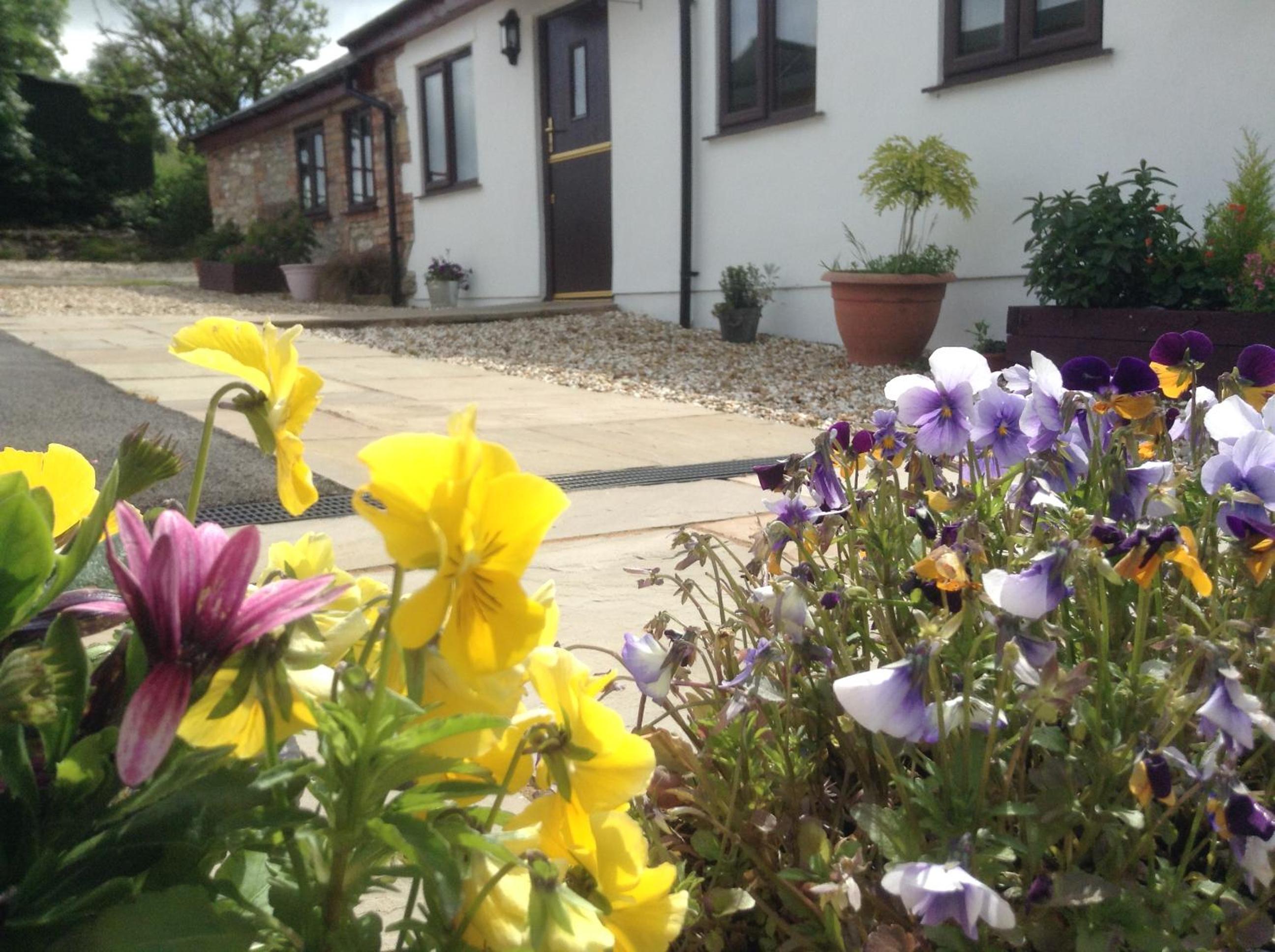 Glan Llyn Farm House