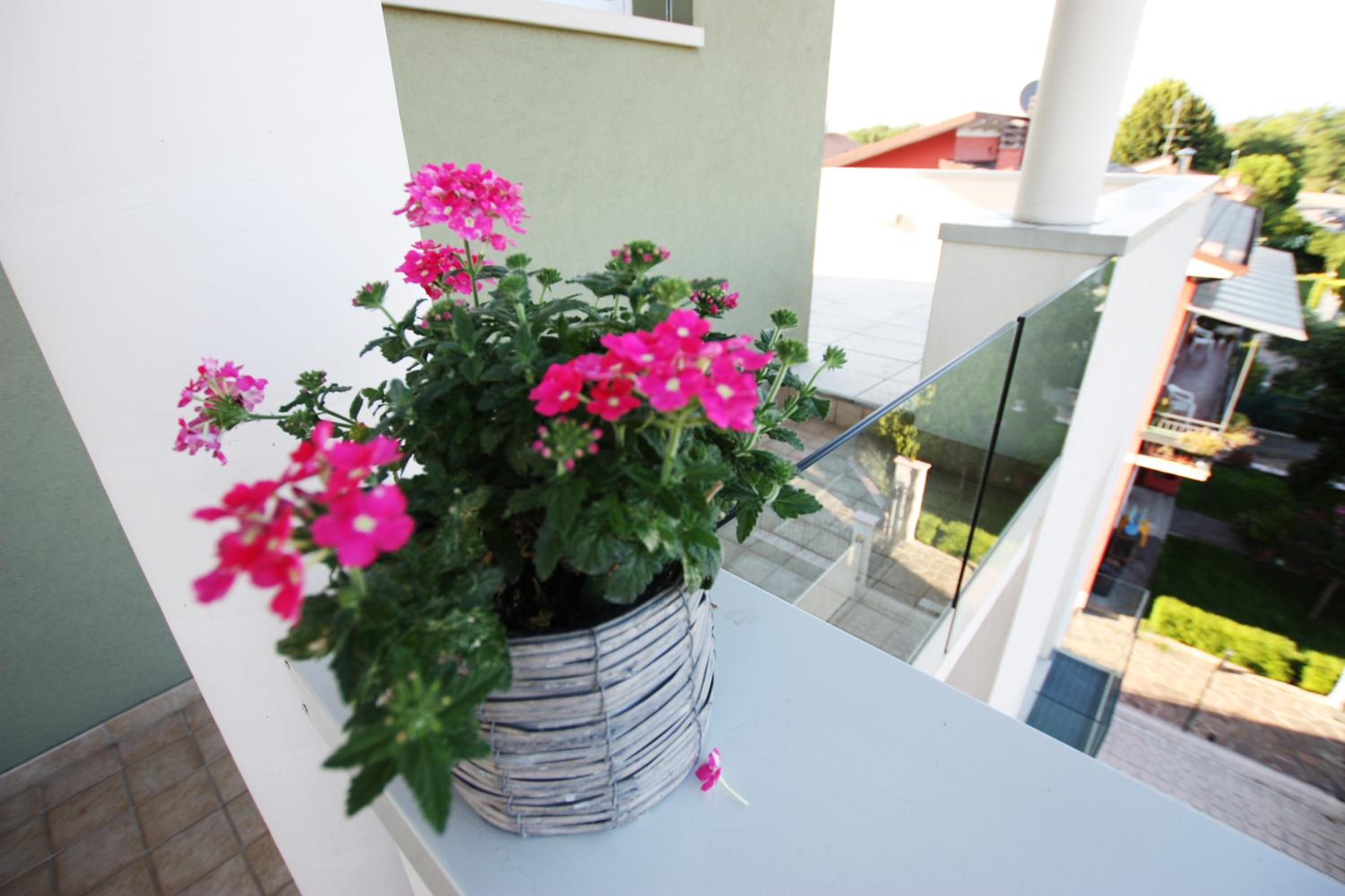 Residenza Verona New Life, photo 8
