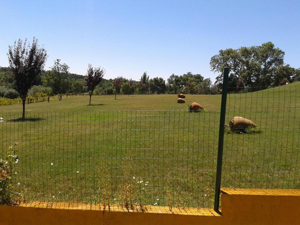 Photo 36