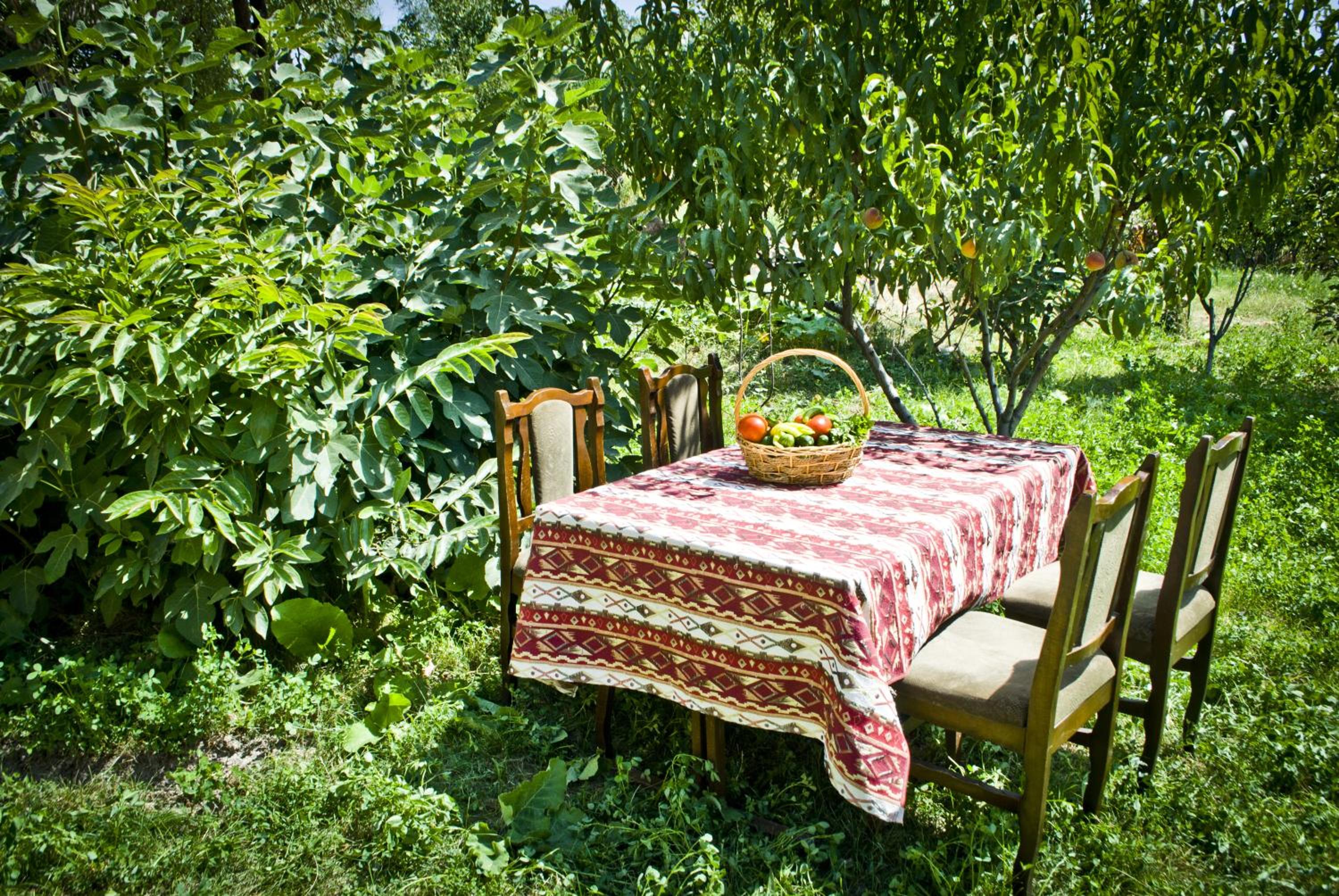 Noravank B&B