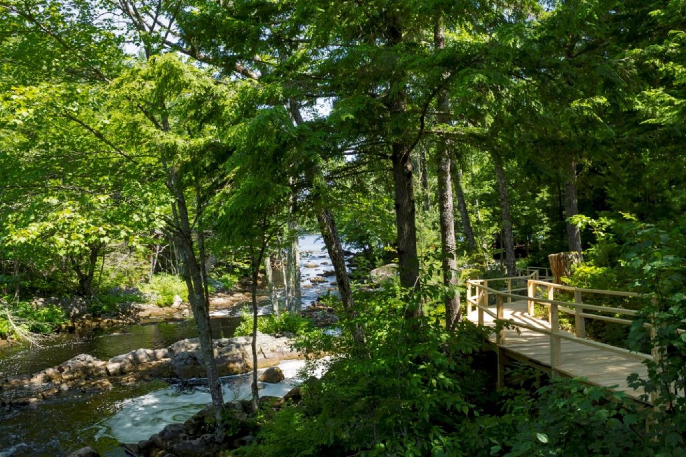 Mersey River Chalets a nature retreat view 5