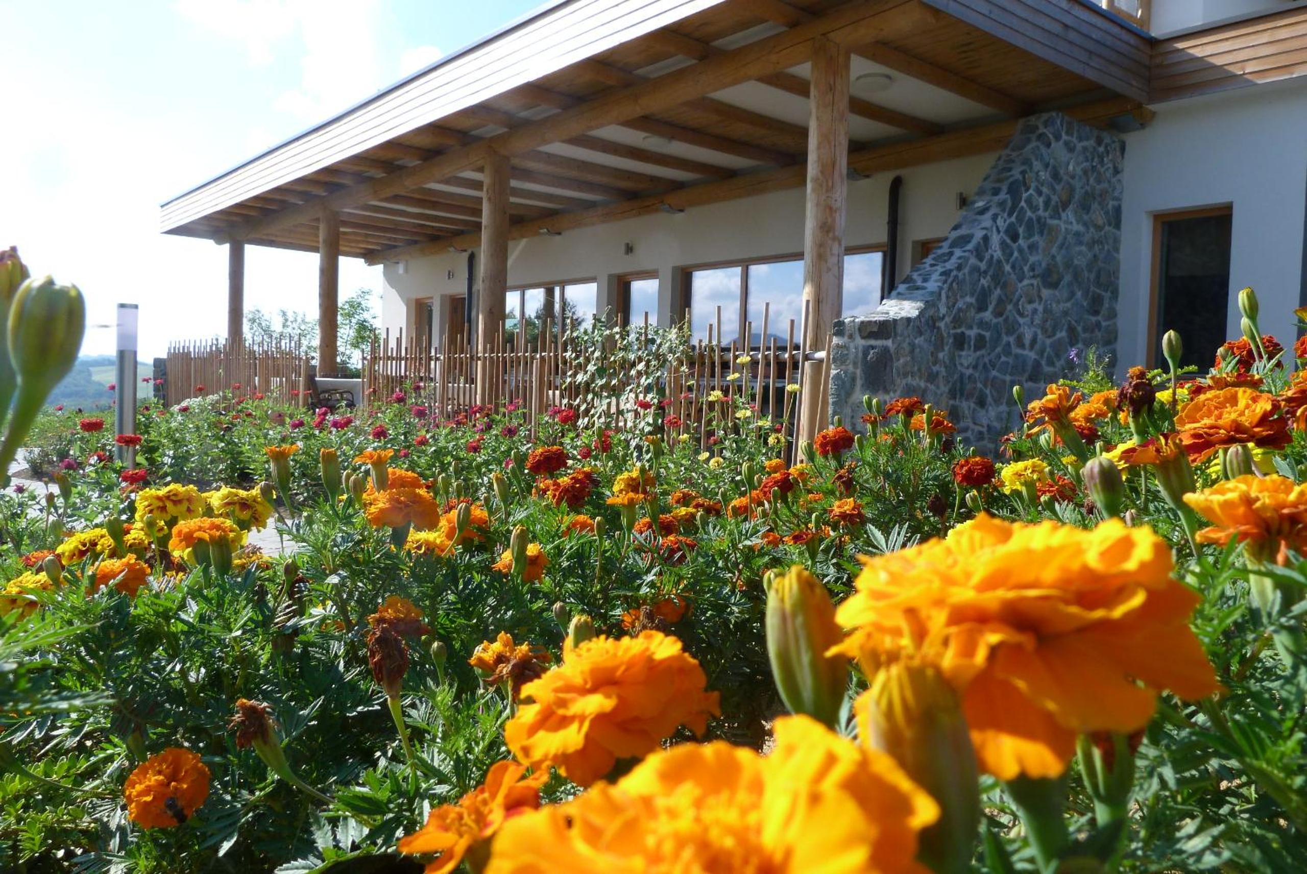 Guest House Eco Vila Mila